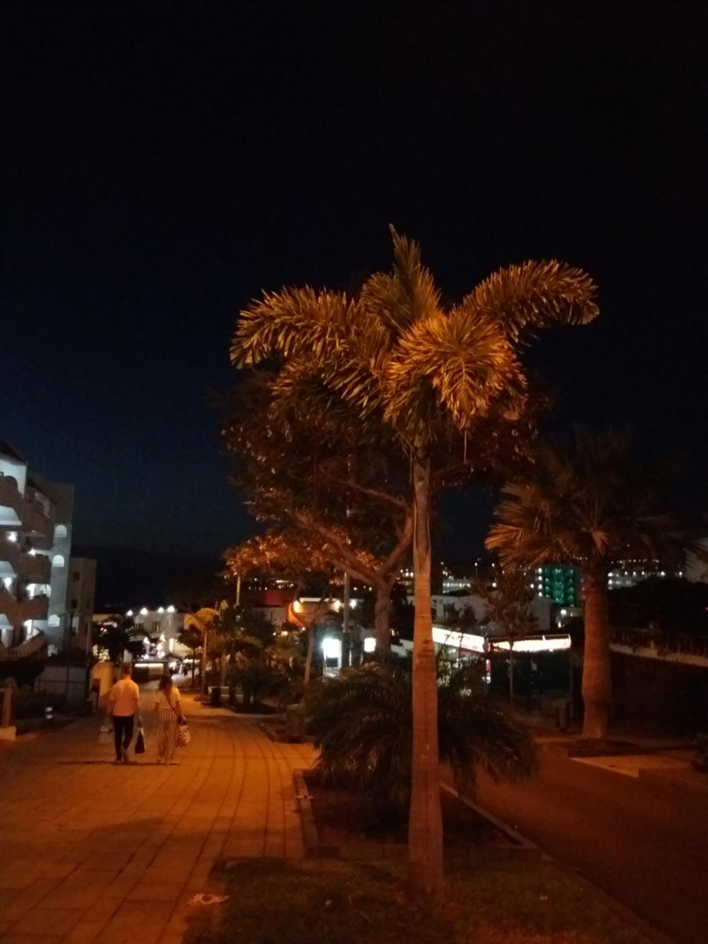Los Geranios