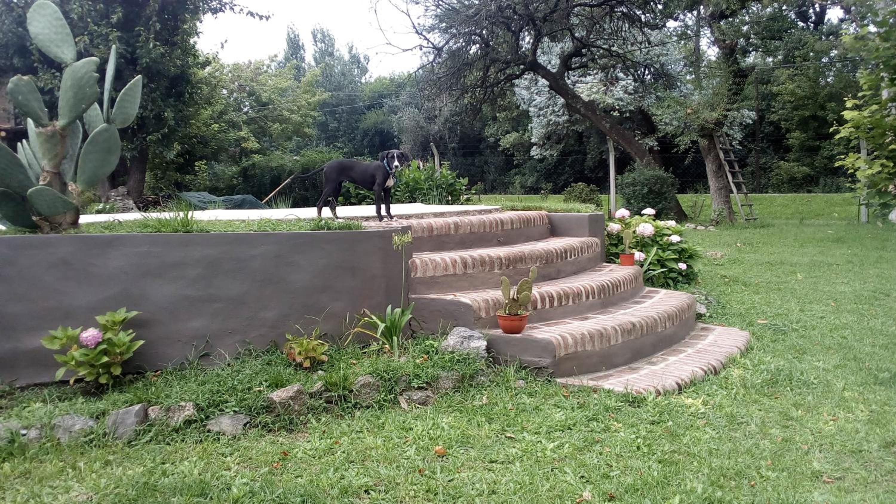 Cabañas los Plátanos
