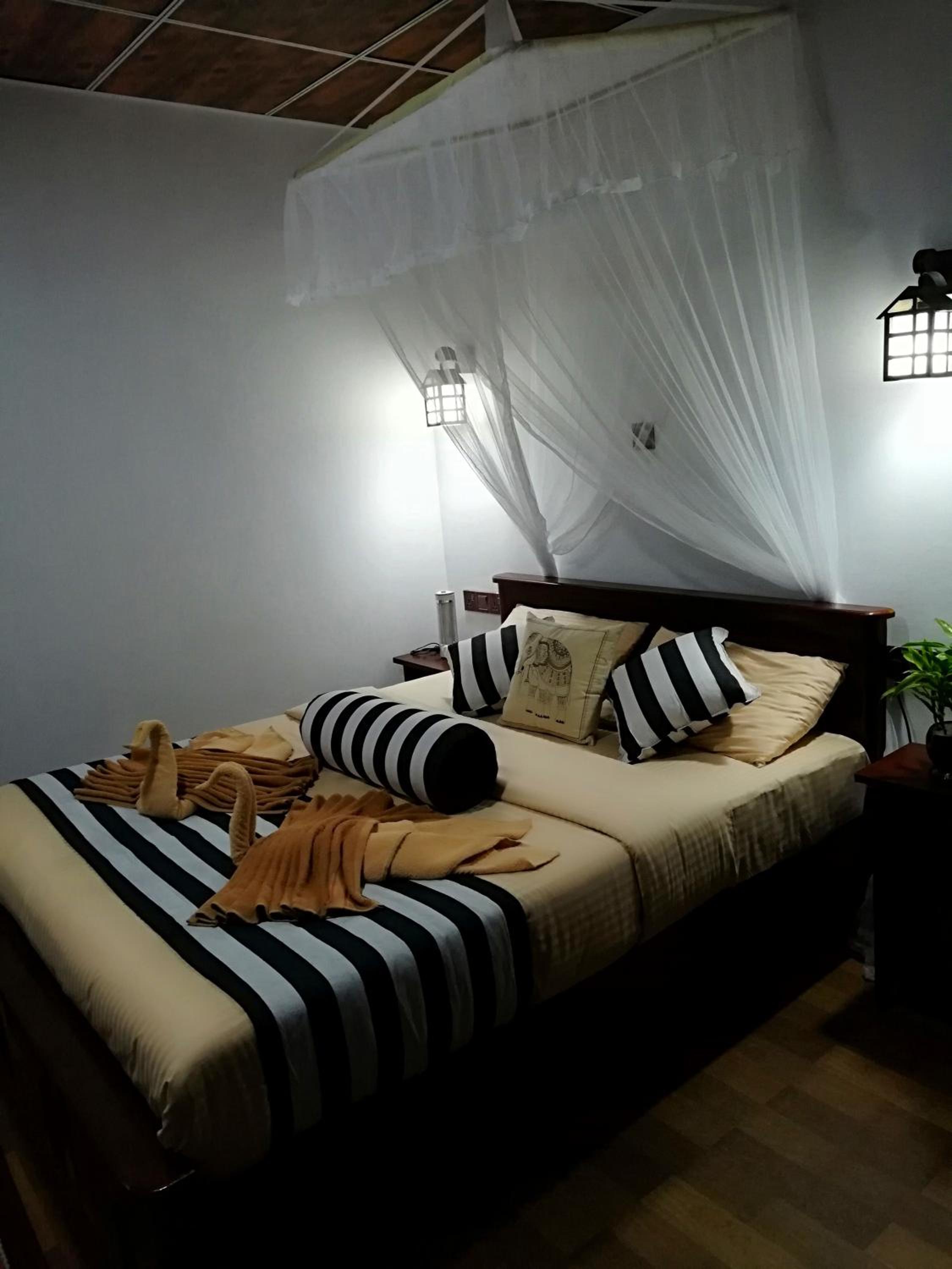 Photo 42