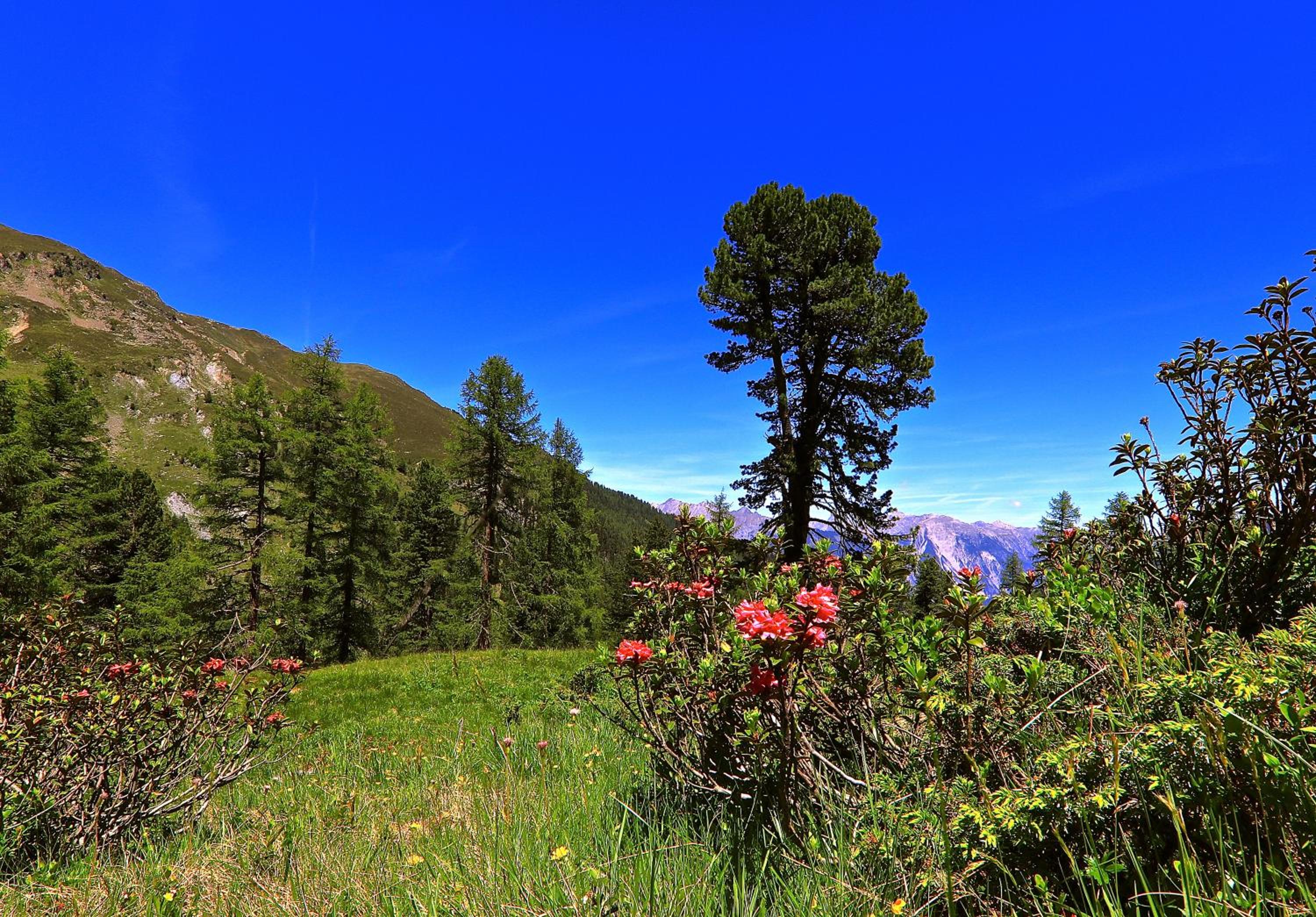 Photo 45