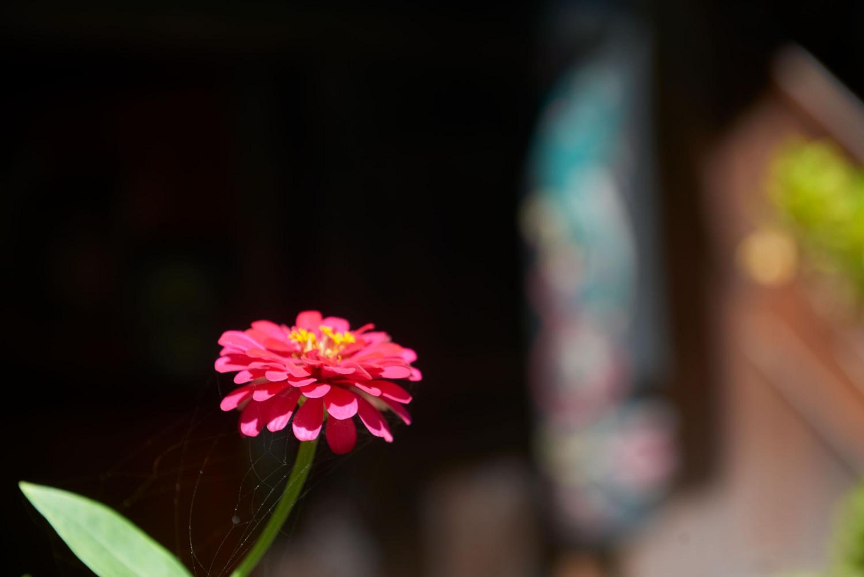 Photo 100