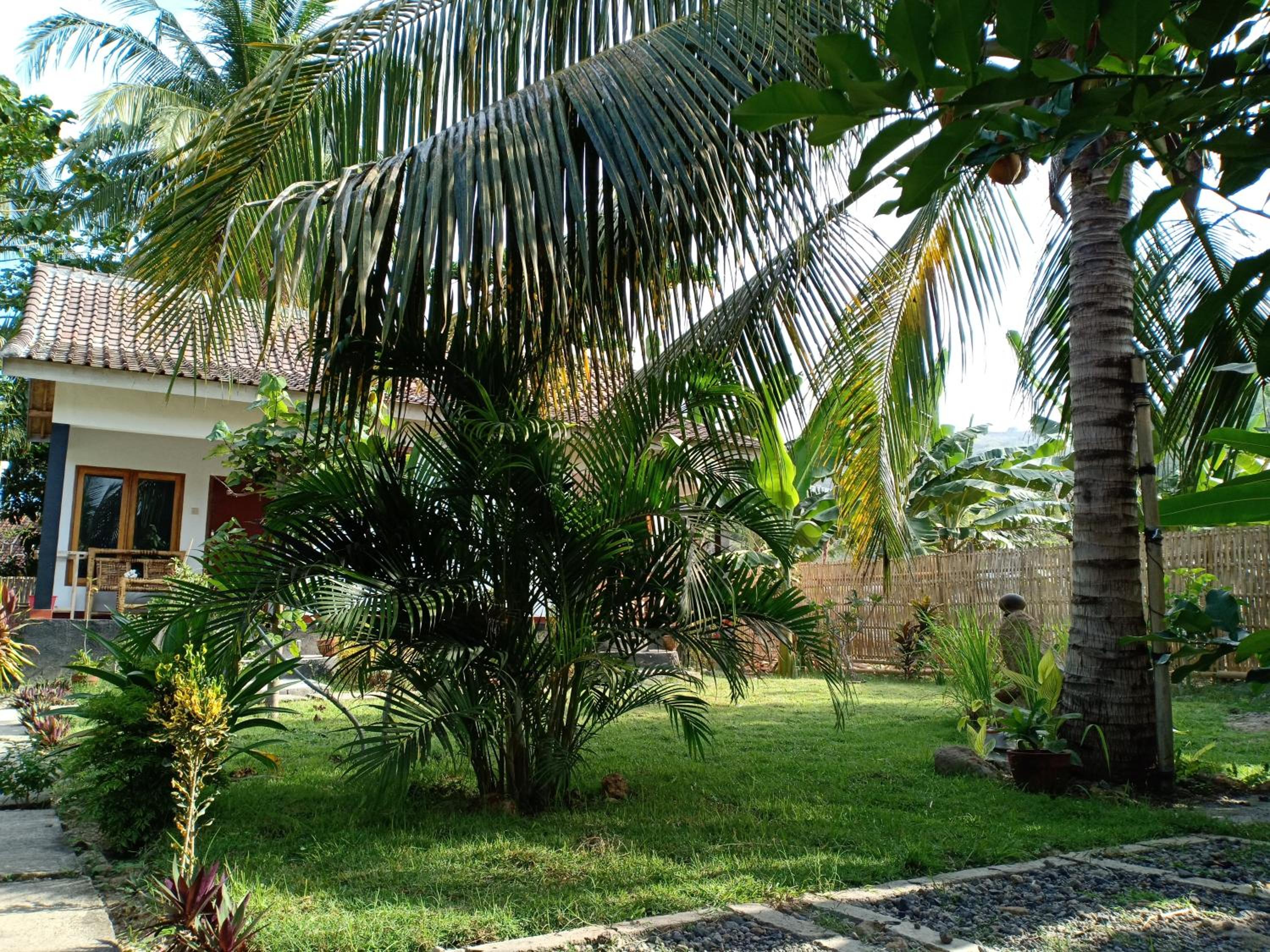 Photo 20