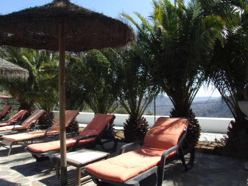 Hotel B&B Finca la Loma view 4