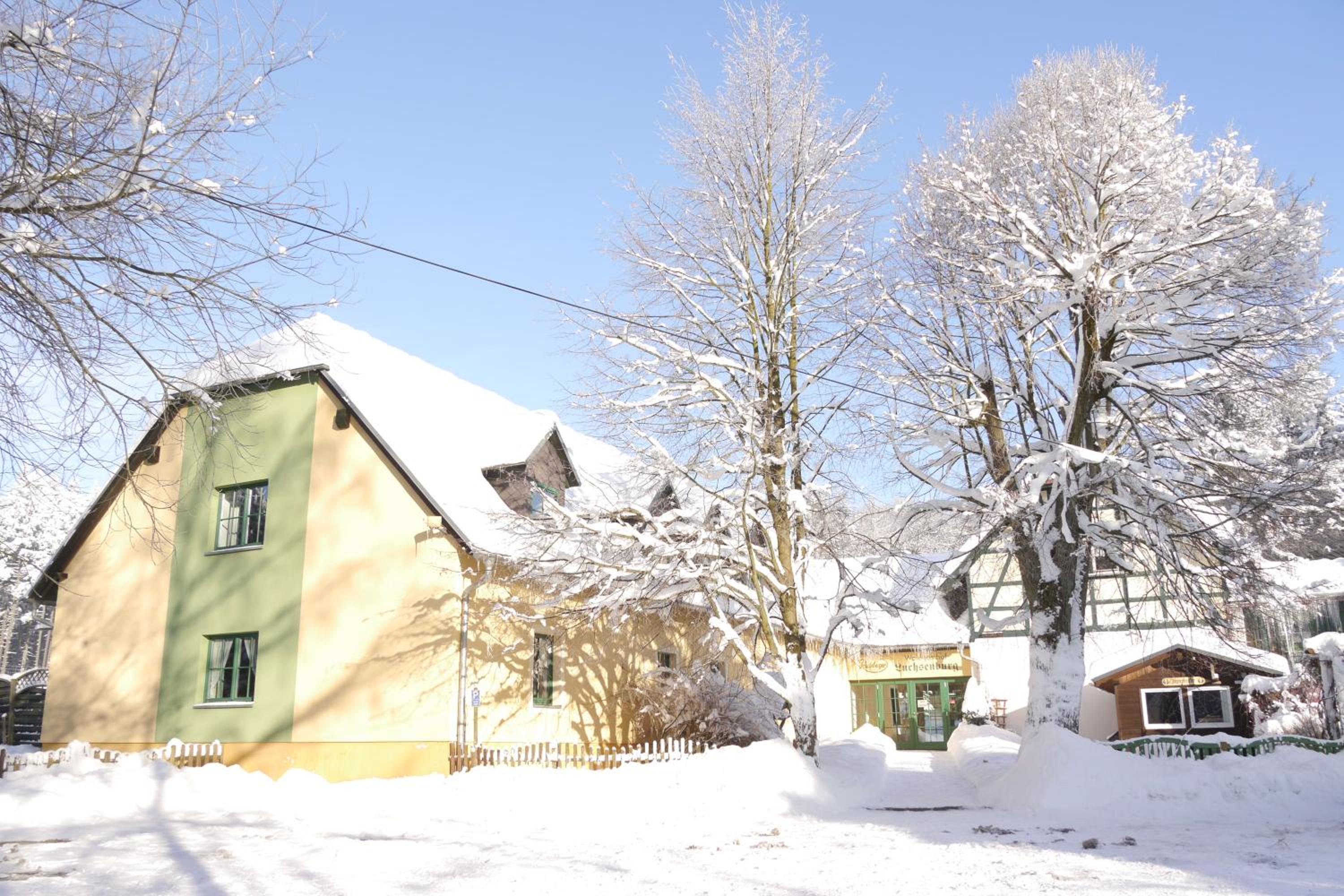 Photo 14