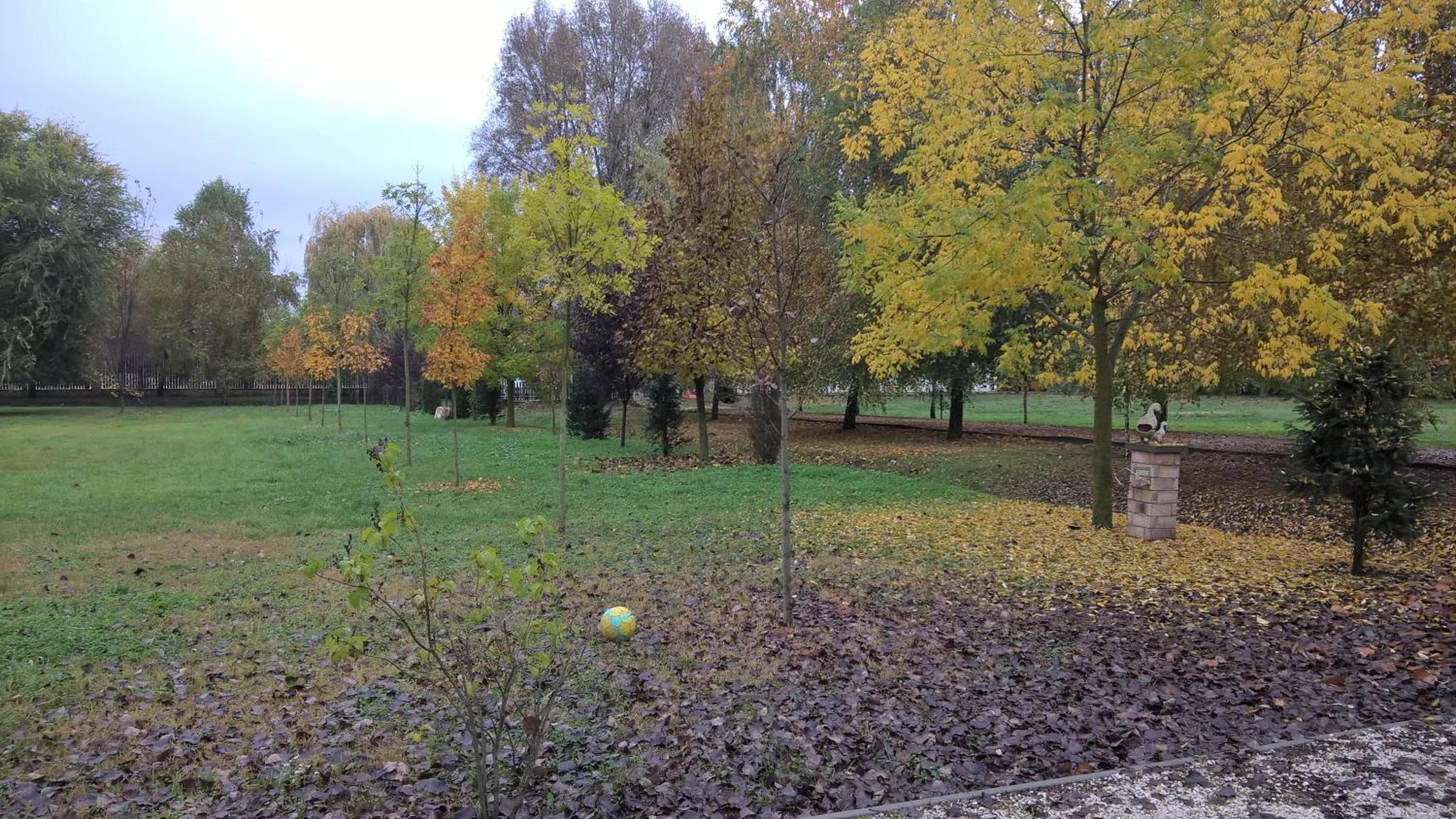 Photo 29