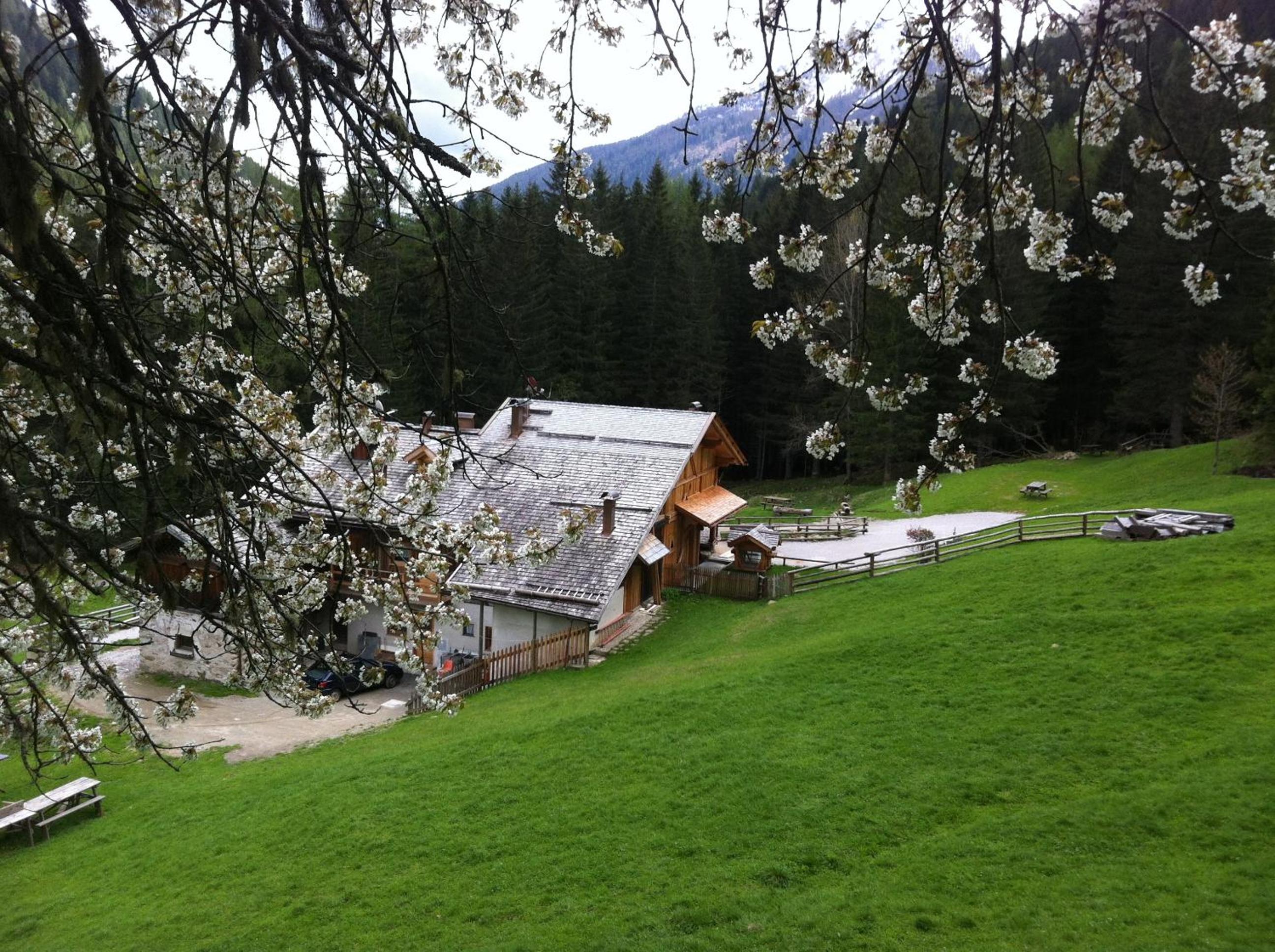 Photo 47