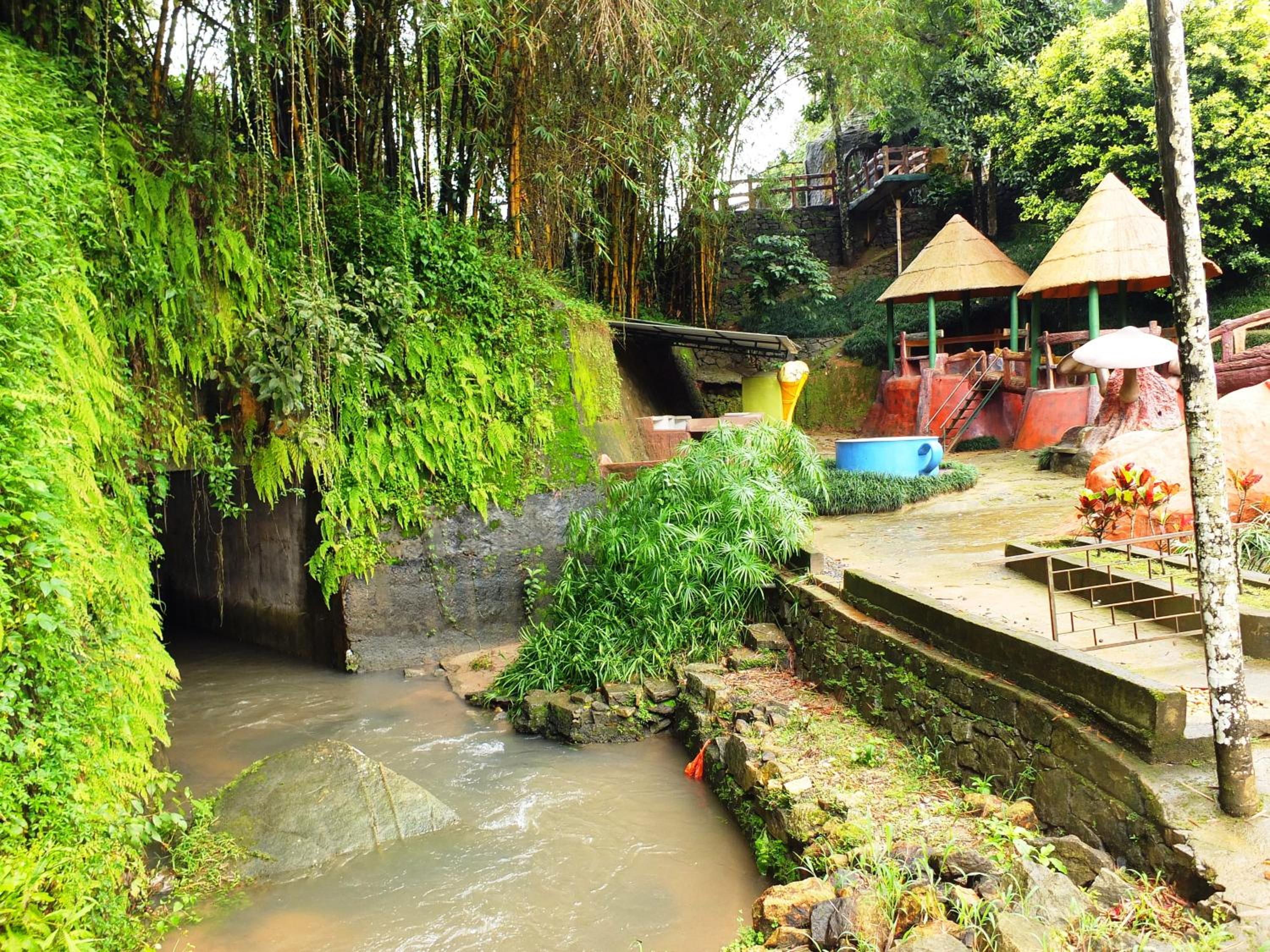 Wayanad Royal Stream view 2