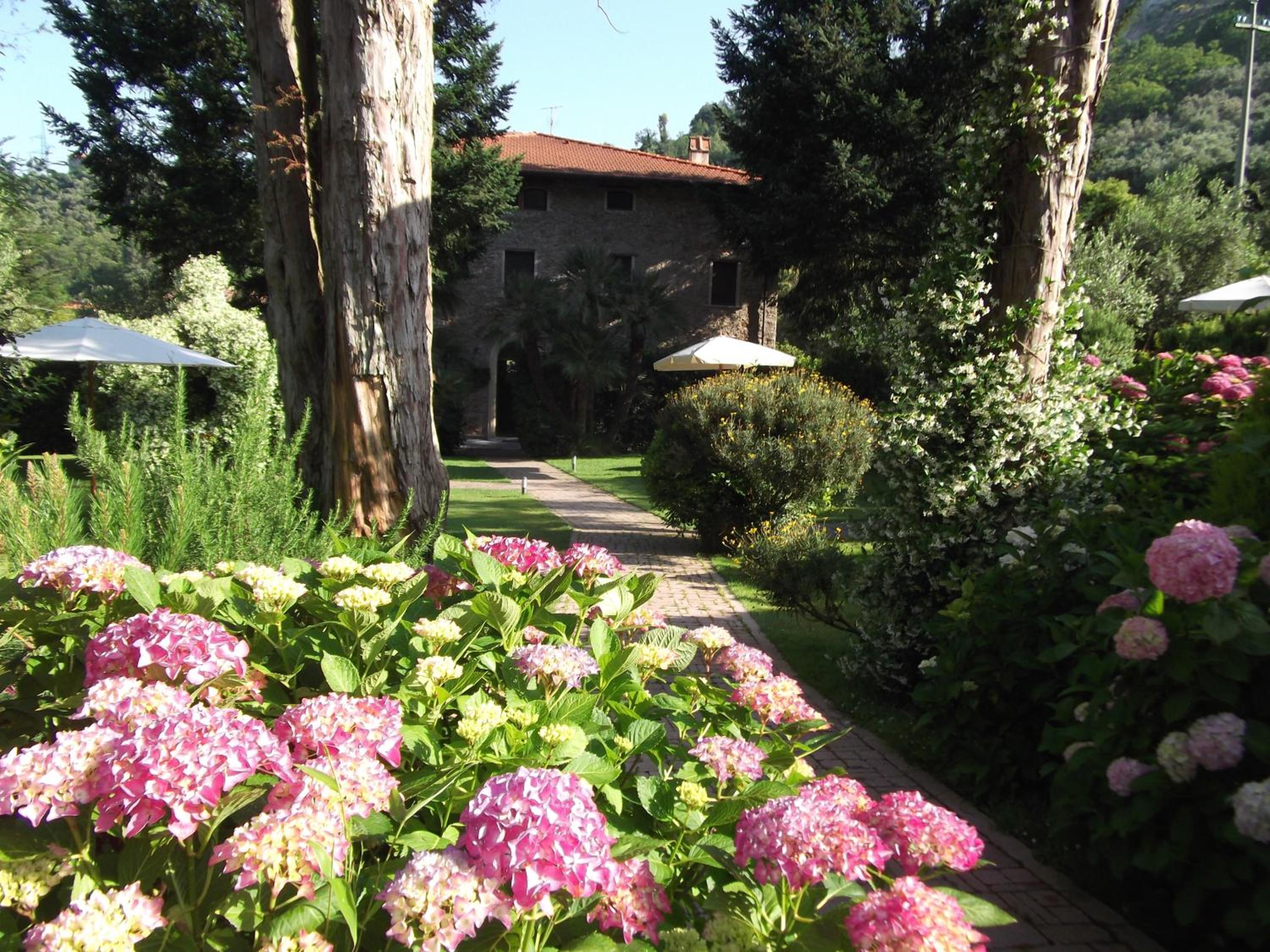 Photo 46