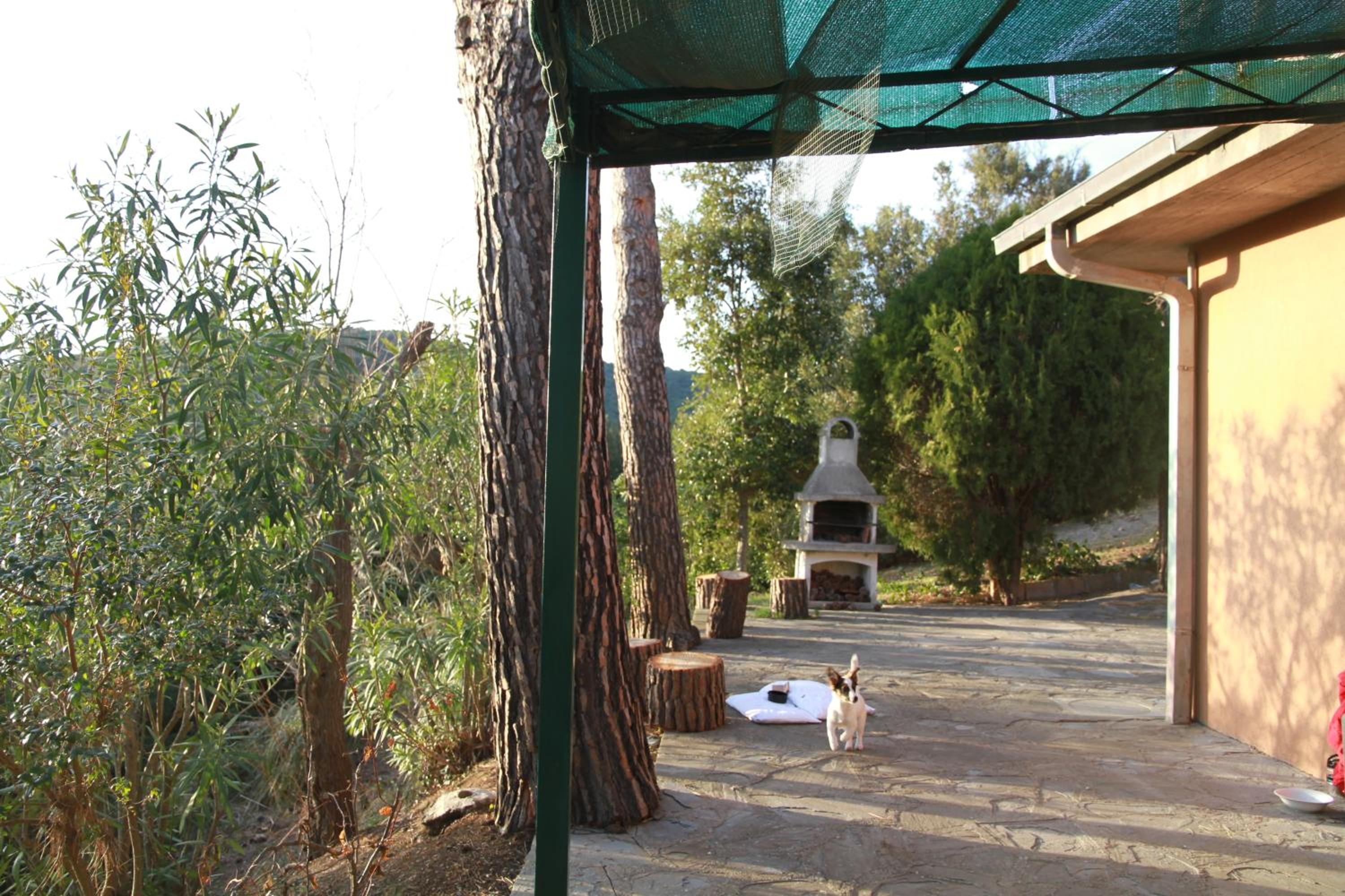 Photo 6