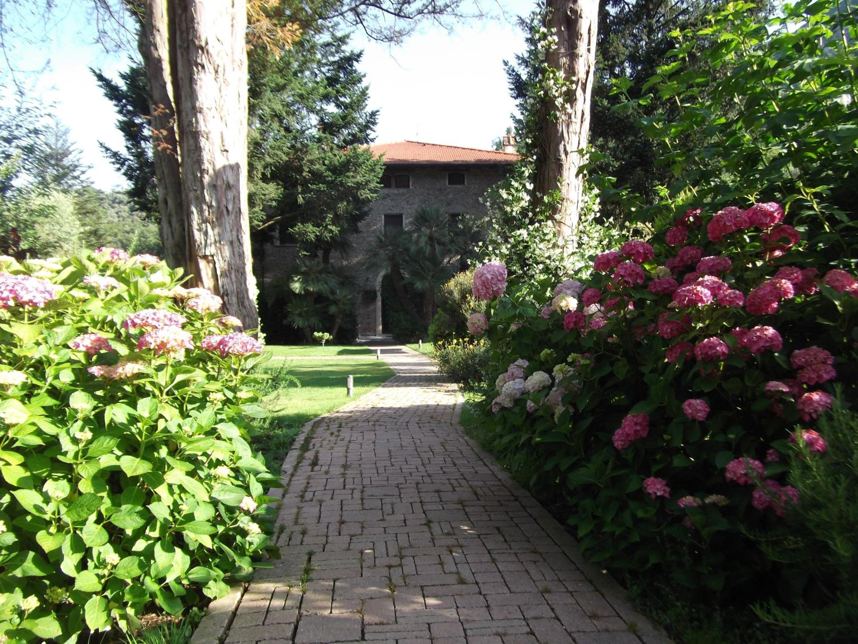 Photo 45