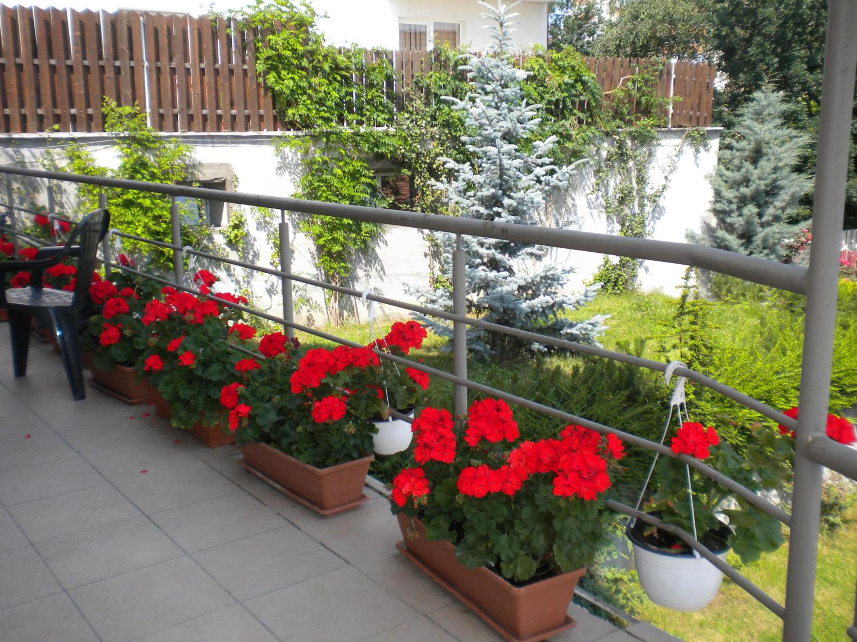 Pension Cluj
