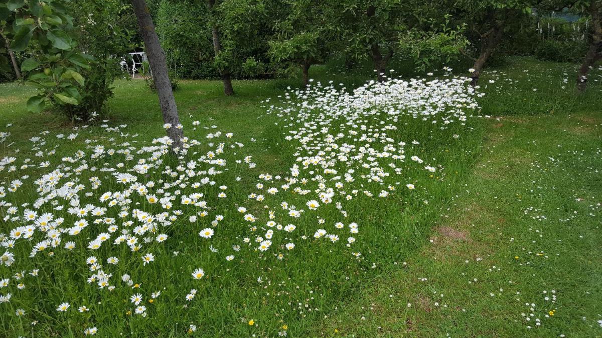B&B Eenvoud in Overvloed