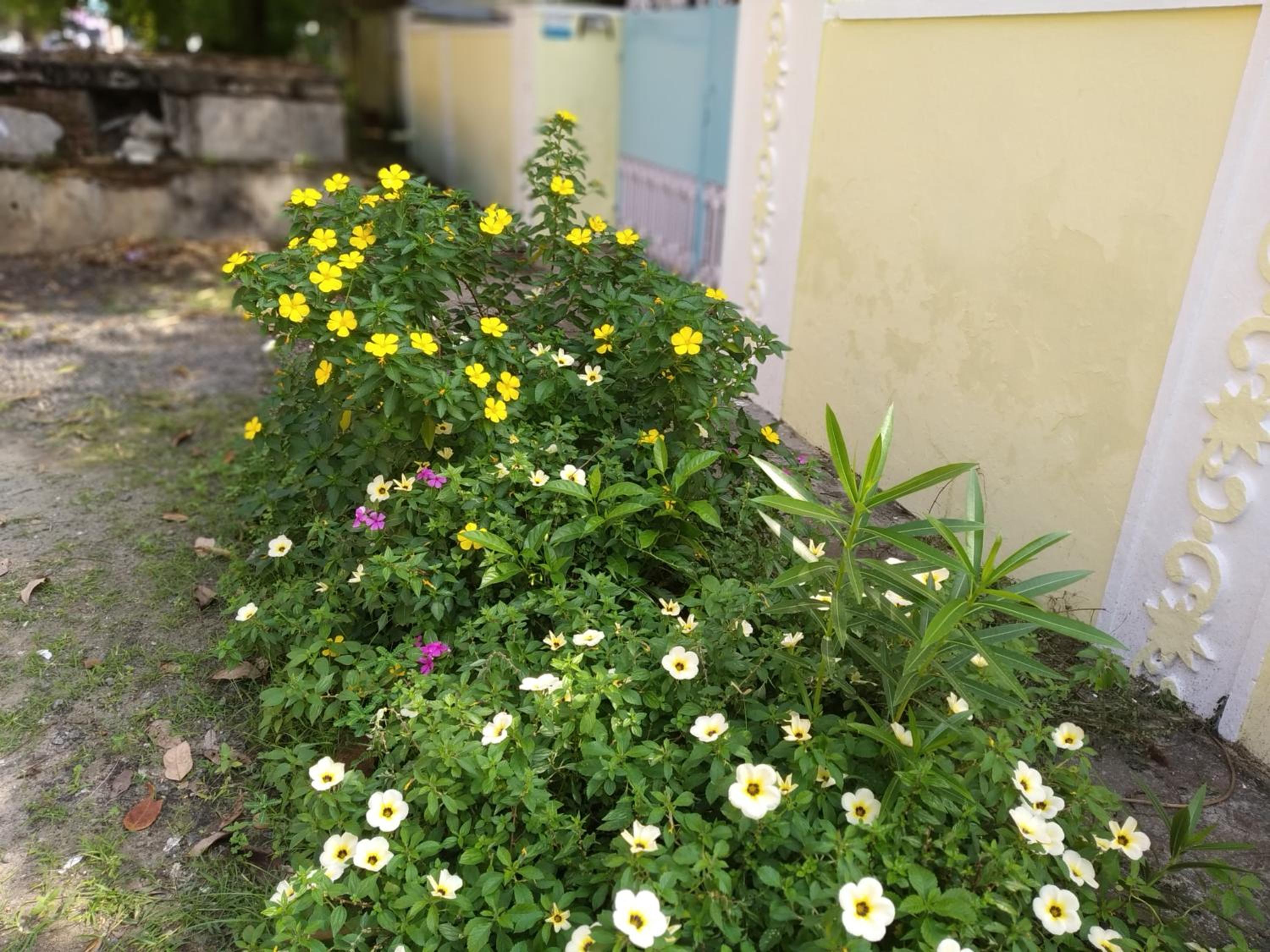 Photo 22
