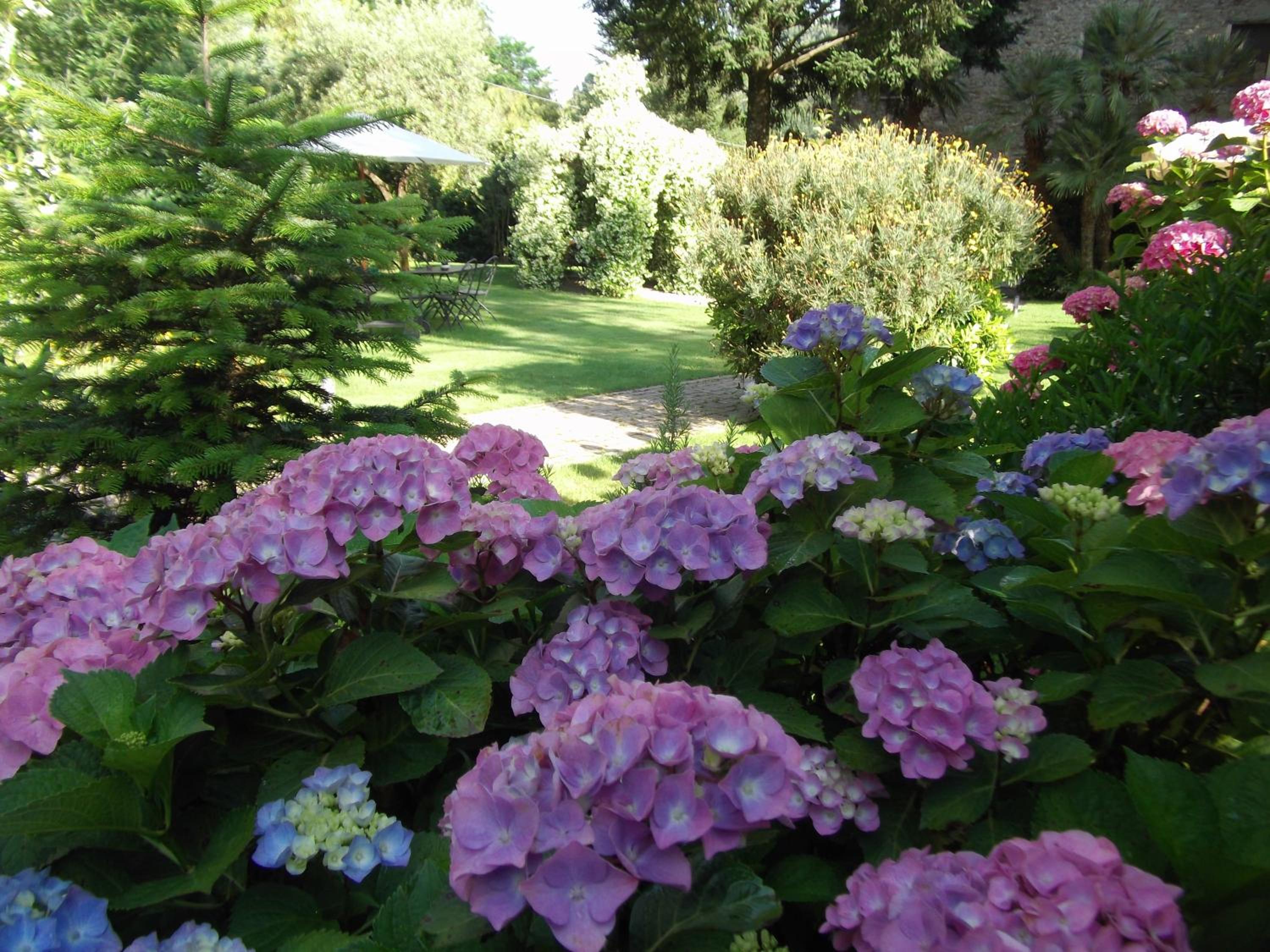 Photo 40