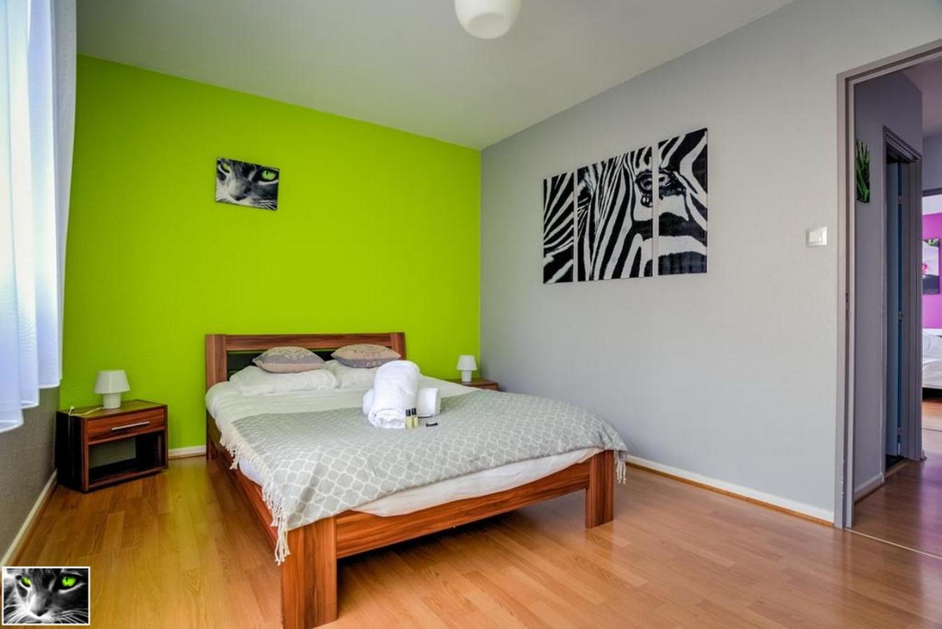Appartement Spacieux Schiltigheim