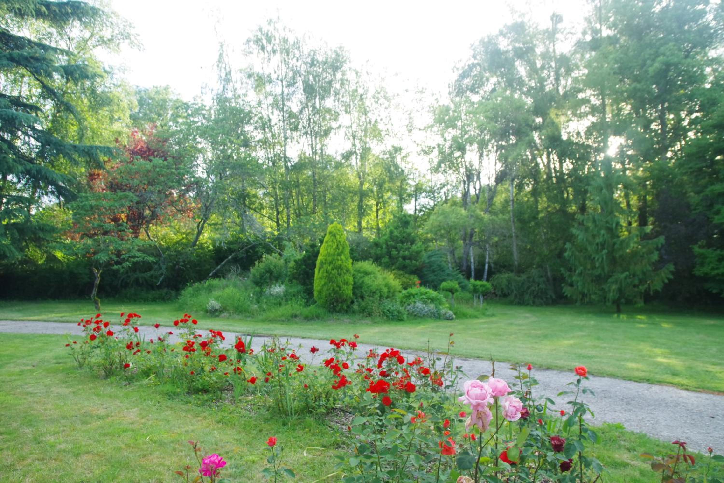 La Petite Marguerite