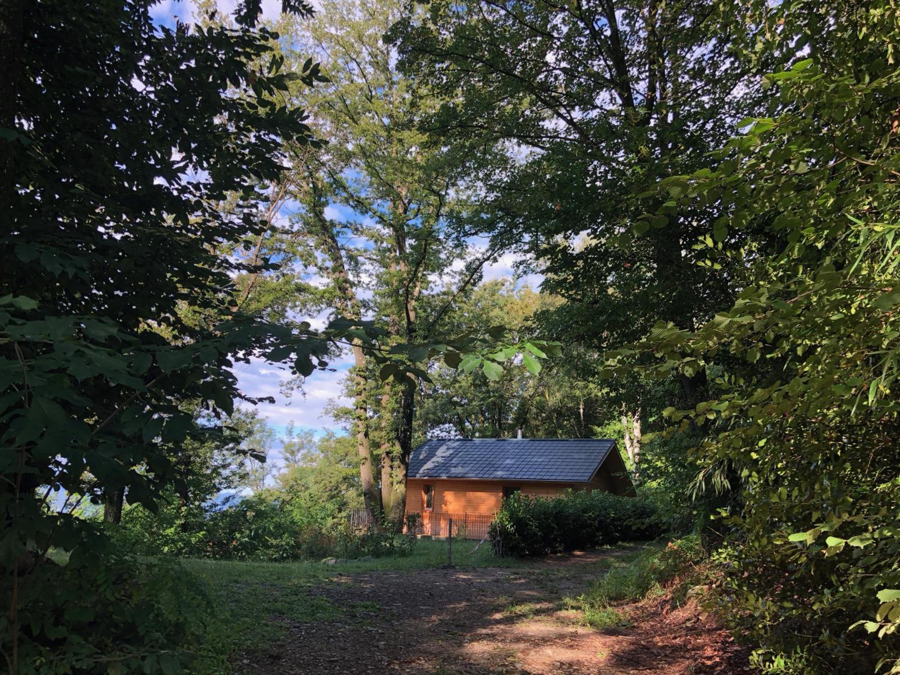 Photo 19