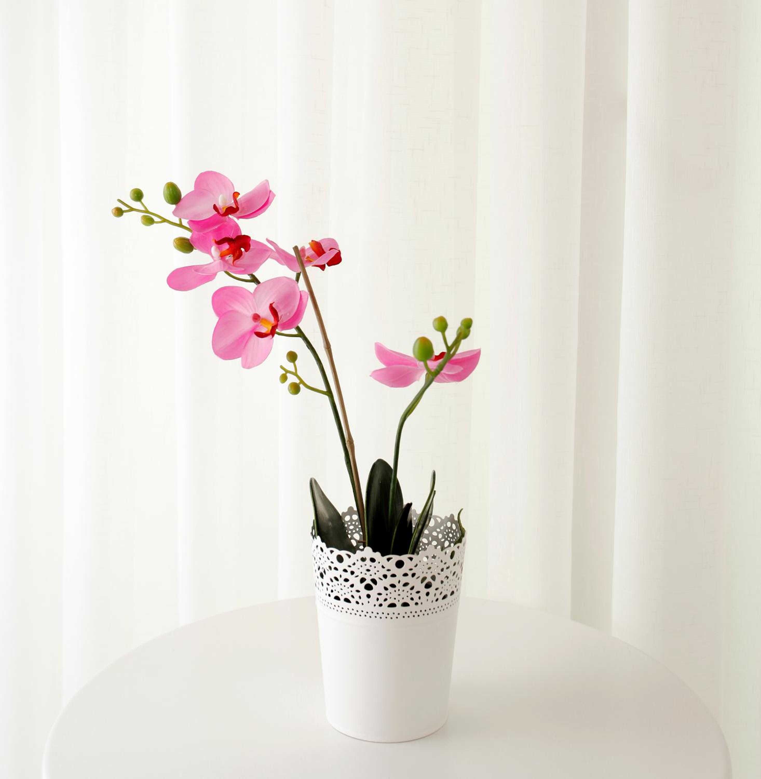 Kavalalı Süitler - Image 12