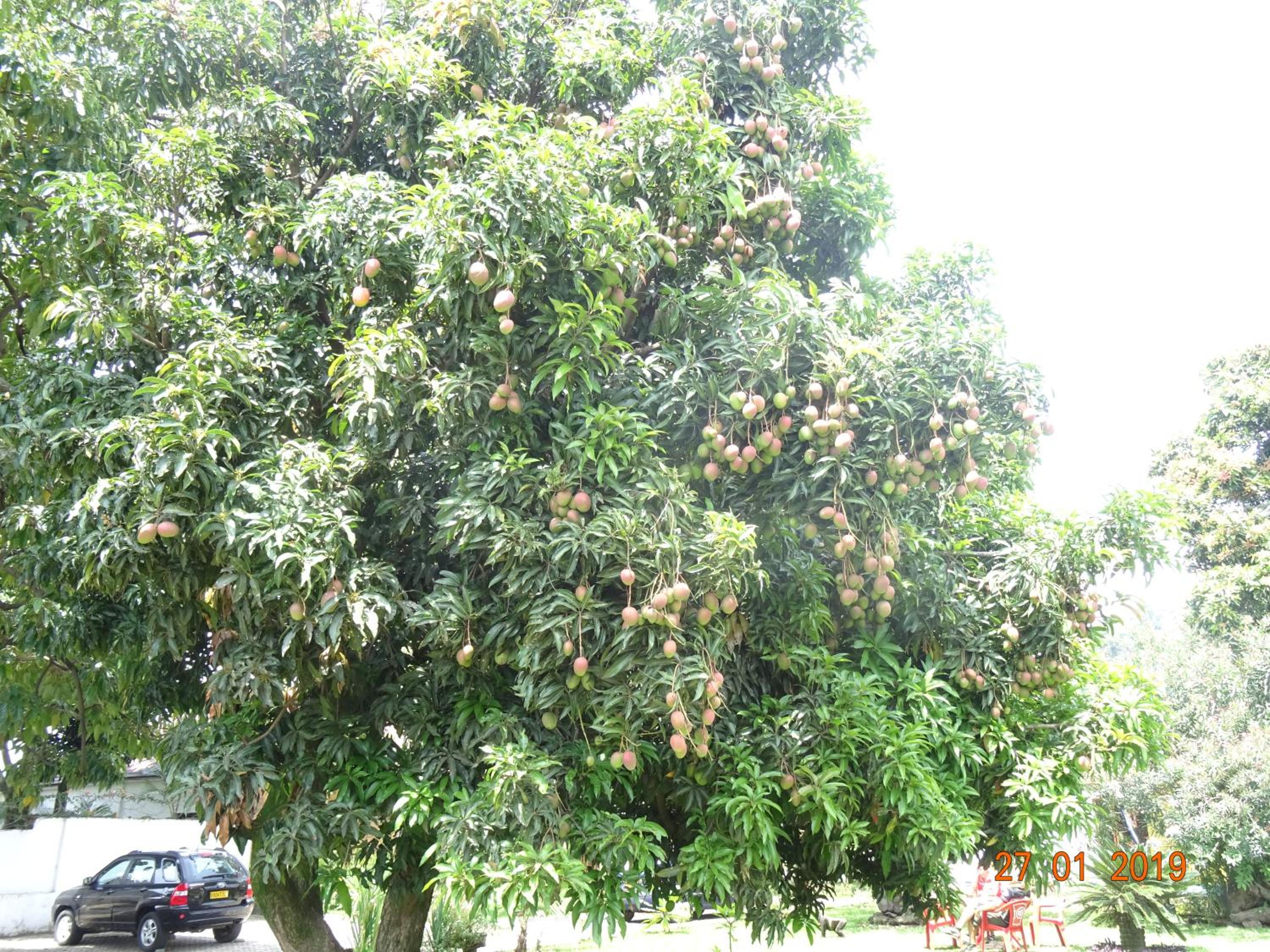 Kivu Beach Garden, photo 91