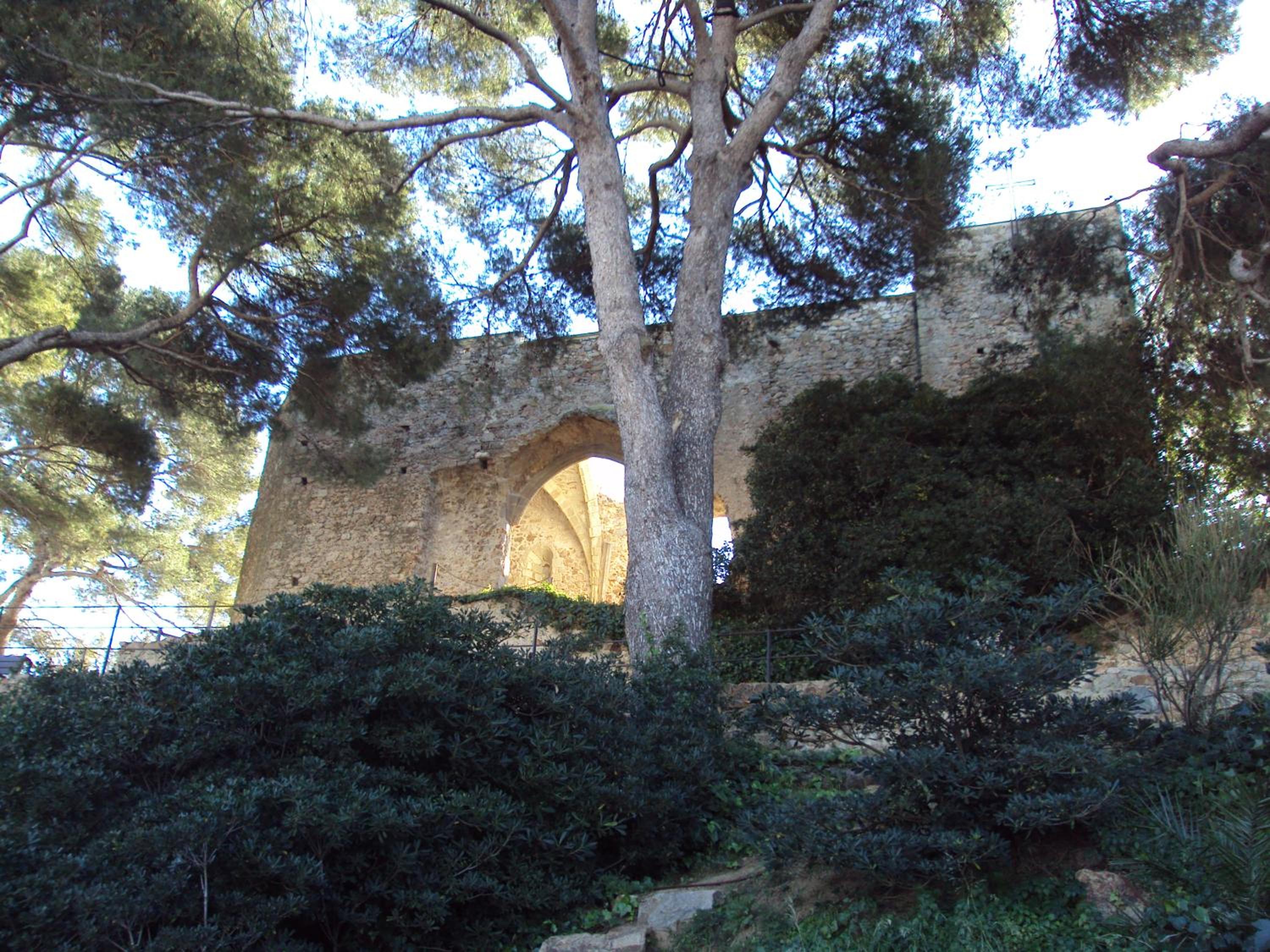 Photo 20