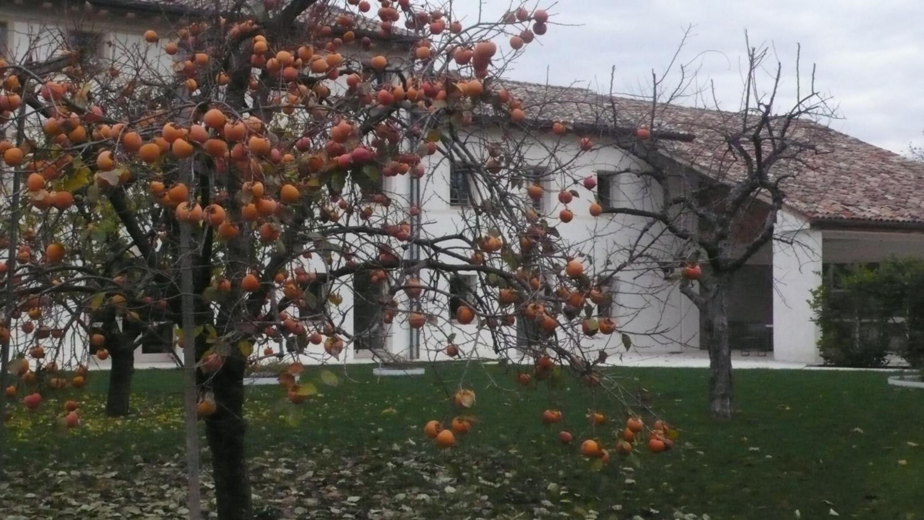 Caspineda Agriturismo