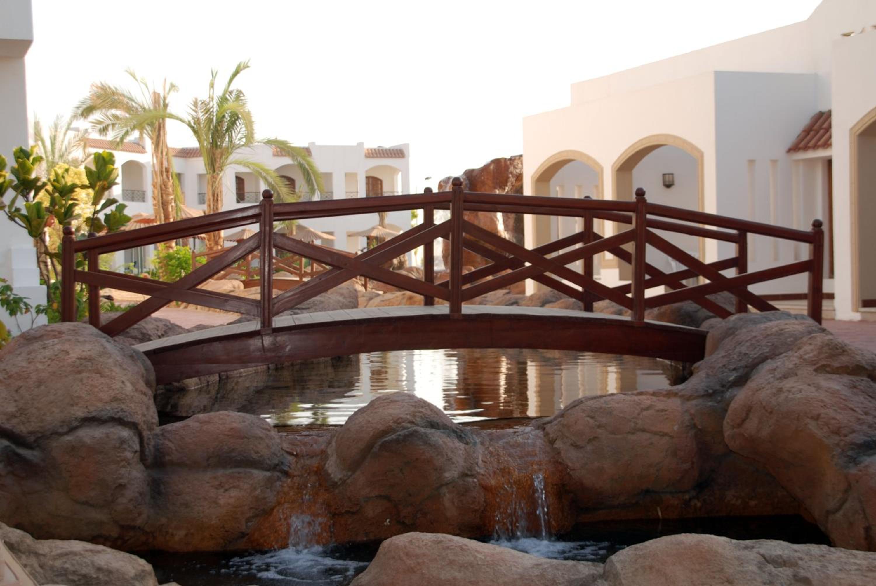 Coral Hills Resort Sharm El-Sheikh — photo 85