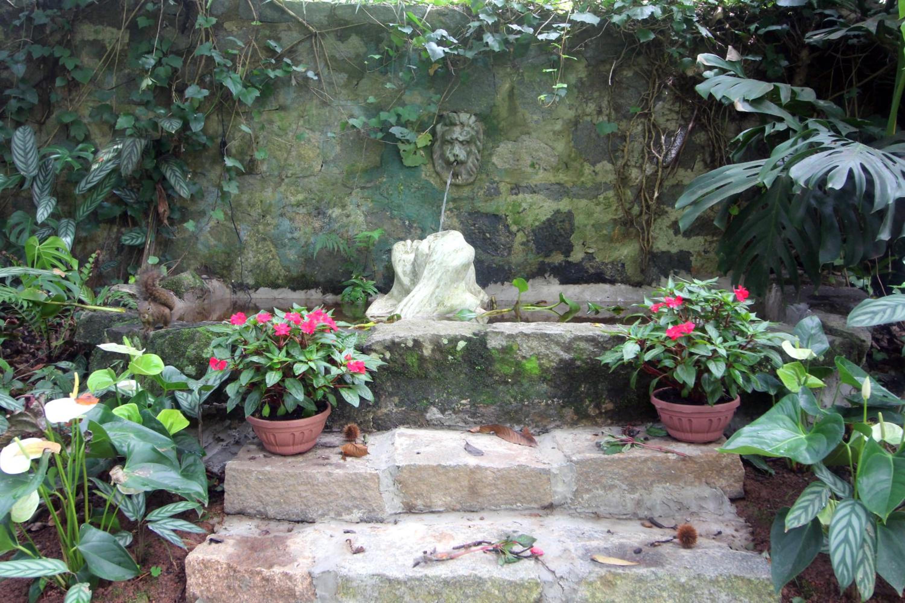 Photo 10
