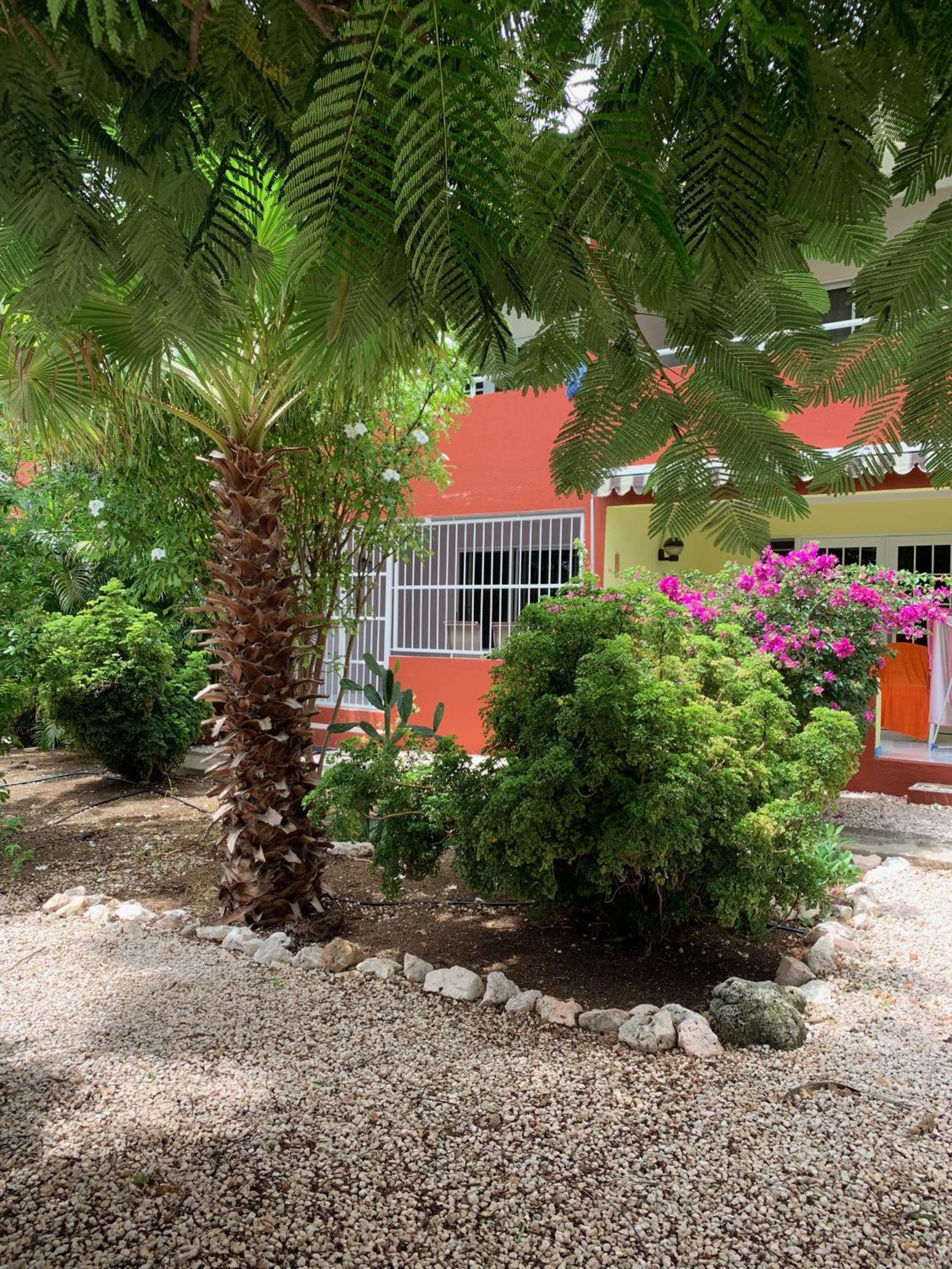 Bon Bini na Curacao