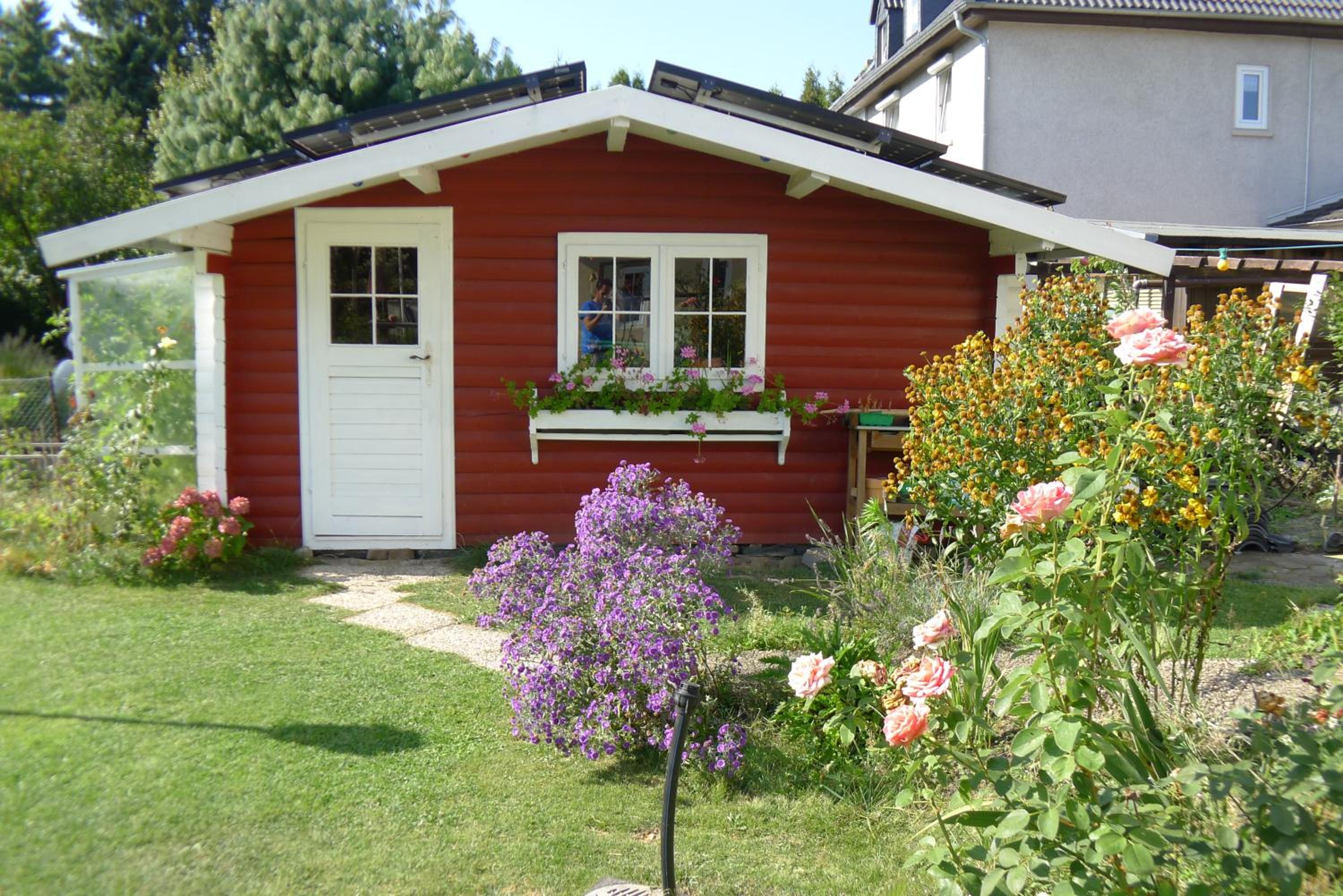 Photo 16