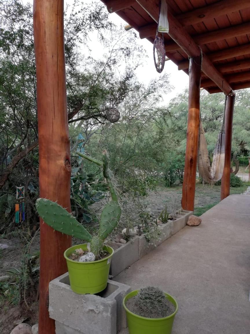 Jardin de Estrellas