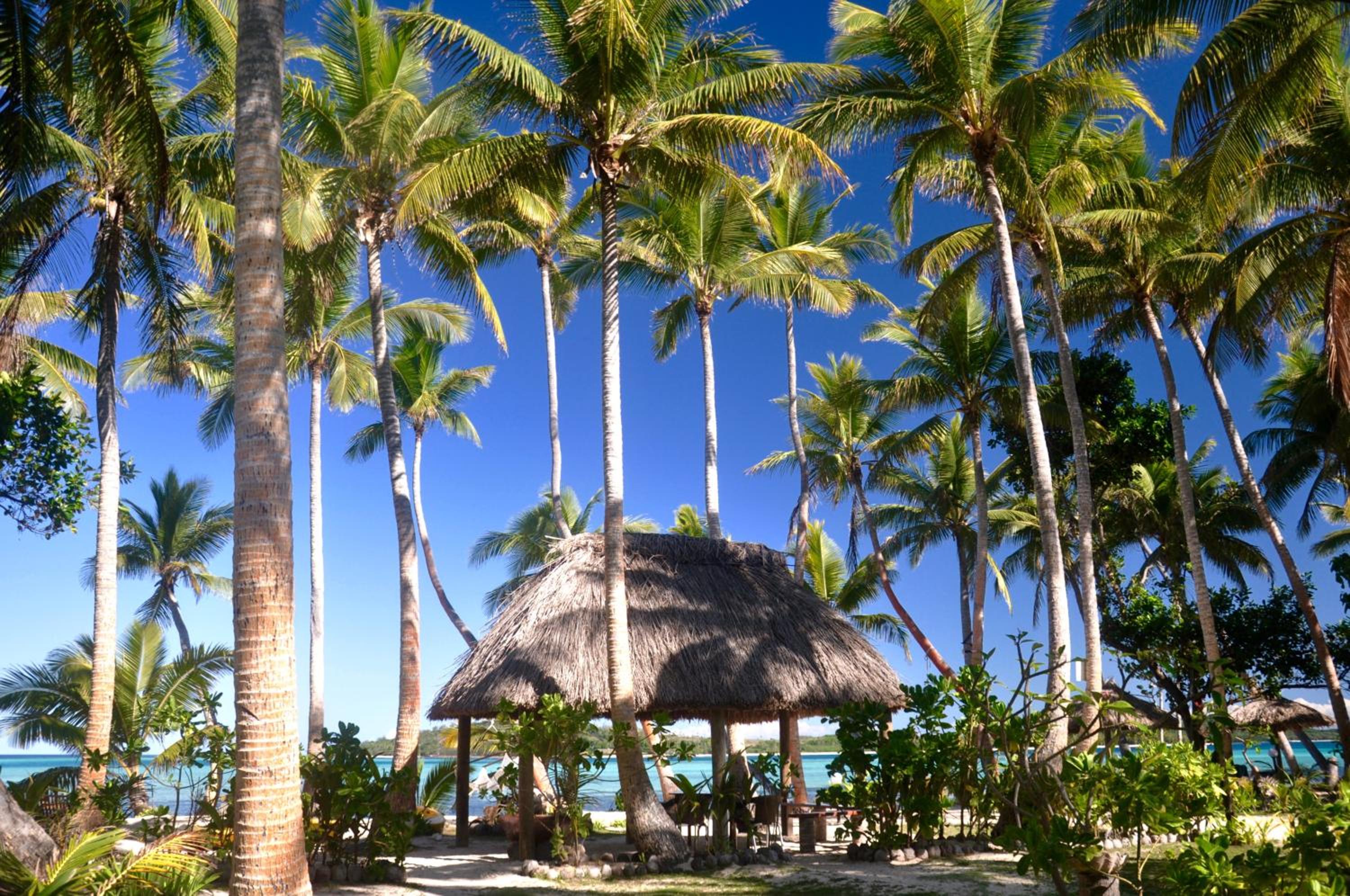 Coconut Beach Resort