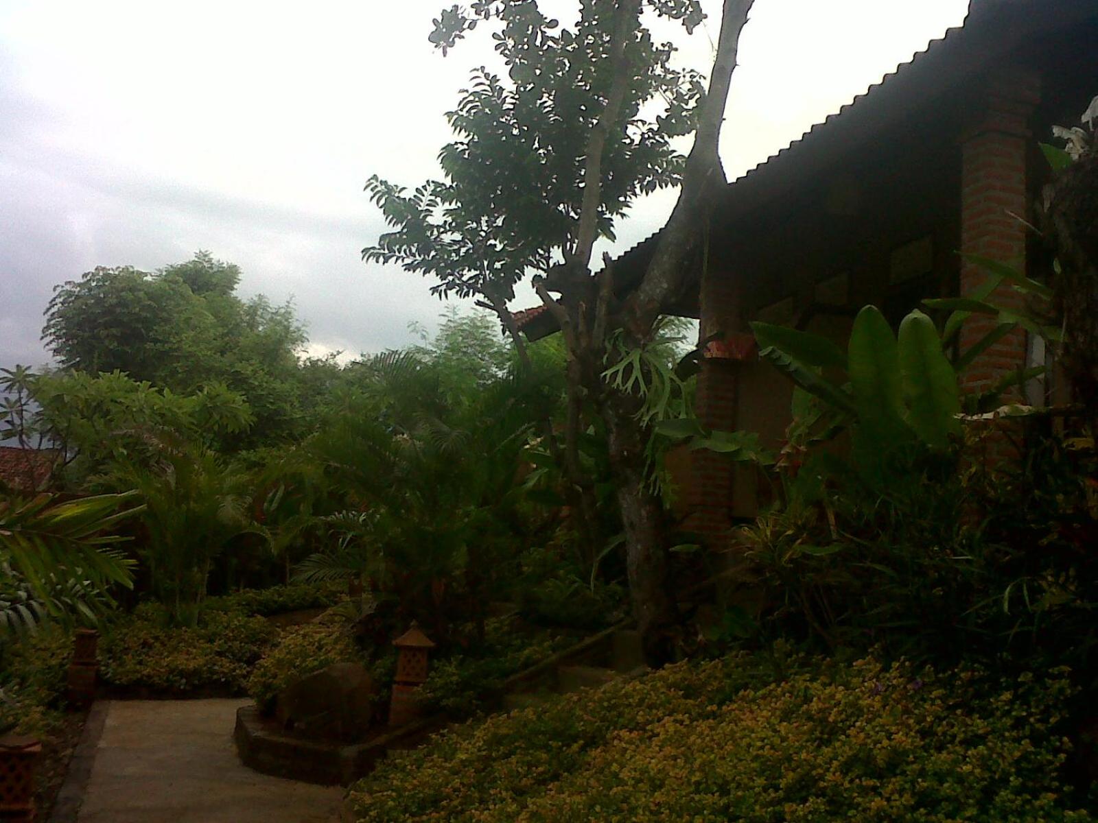 Photo 12