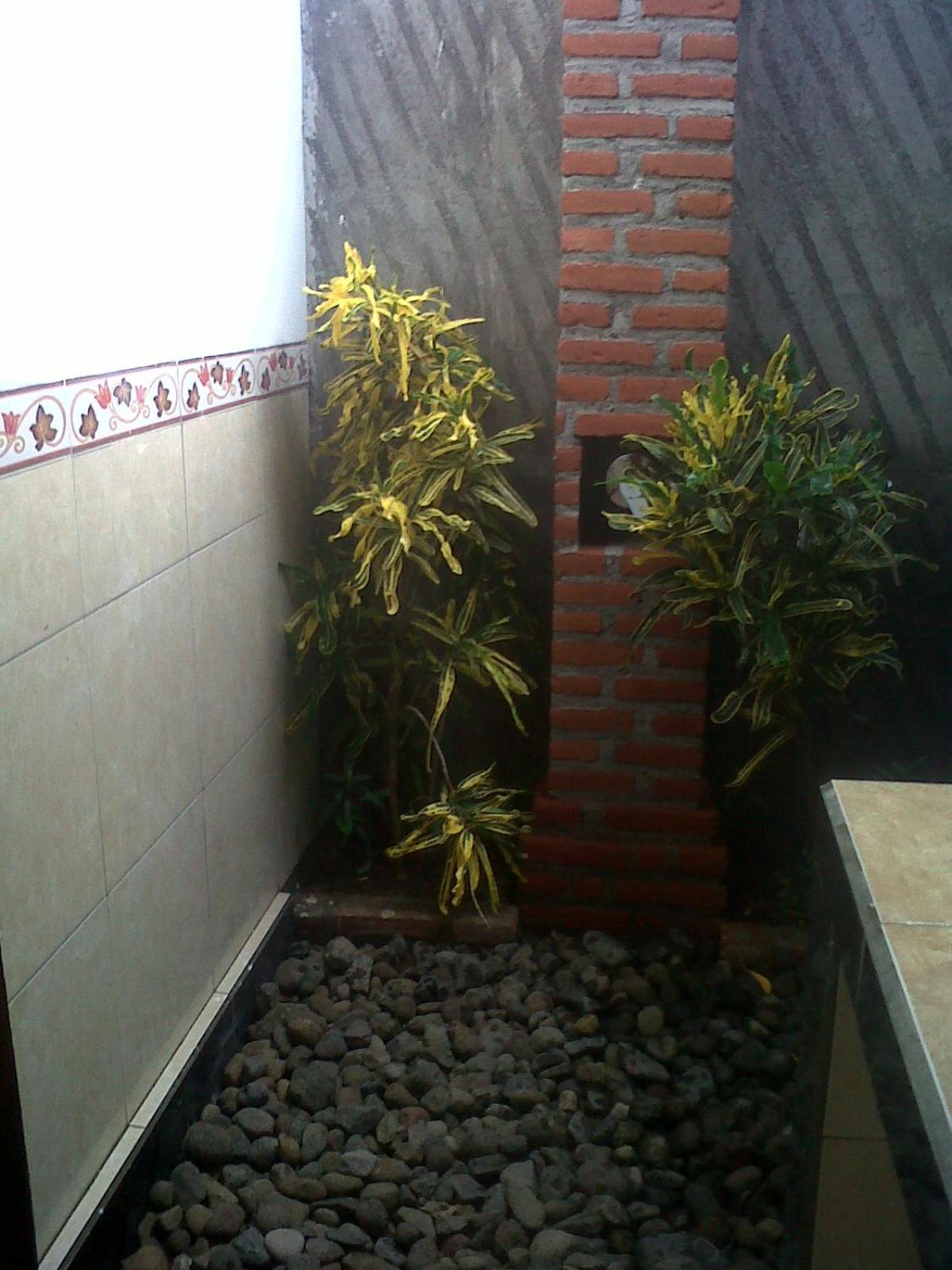 Eliska Sari Bungalows Sumberkima