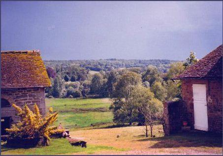 Photo 29