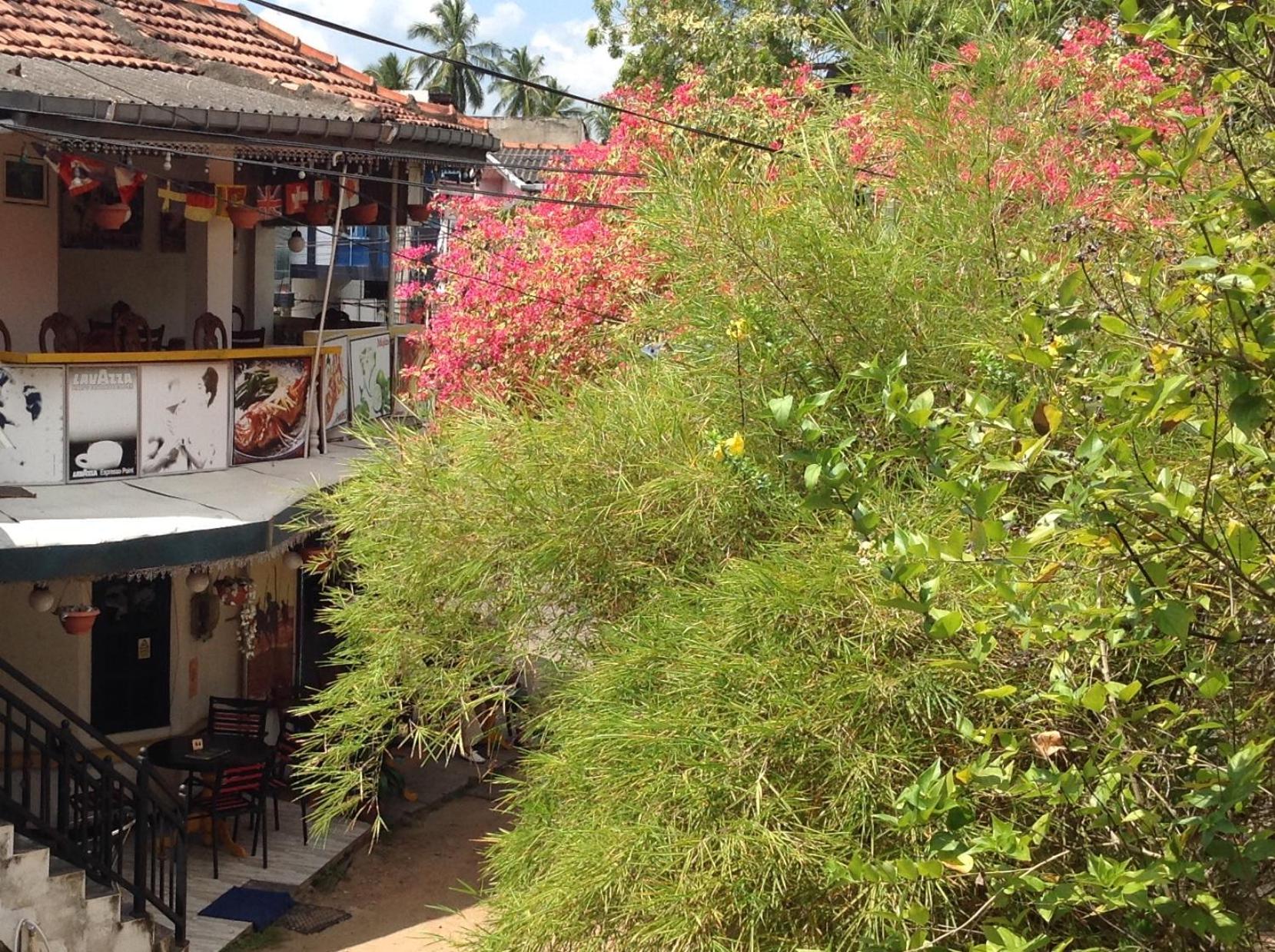 Saman Homestay