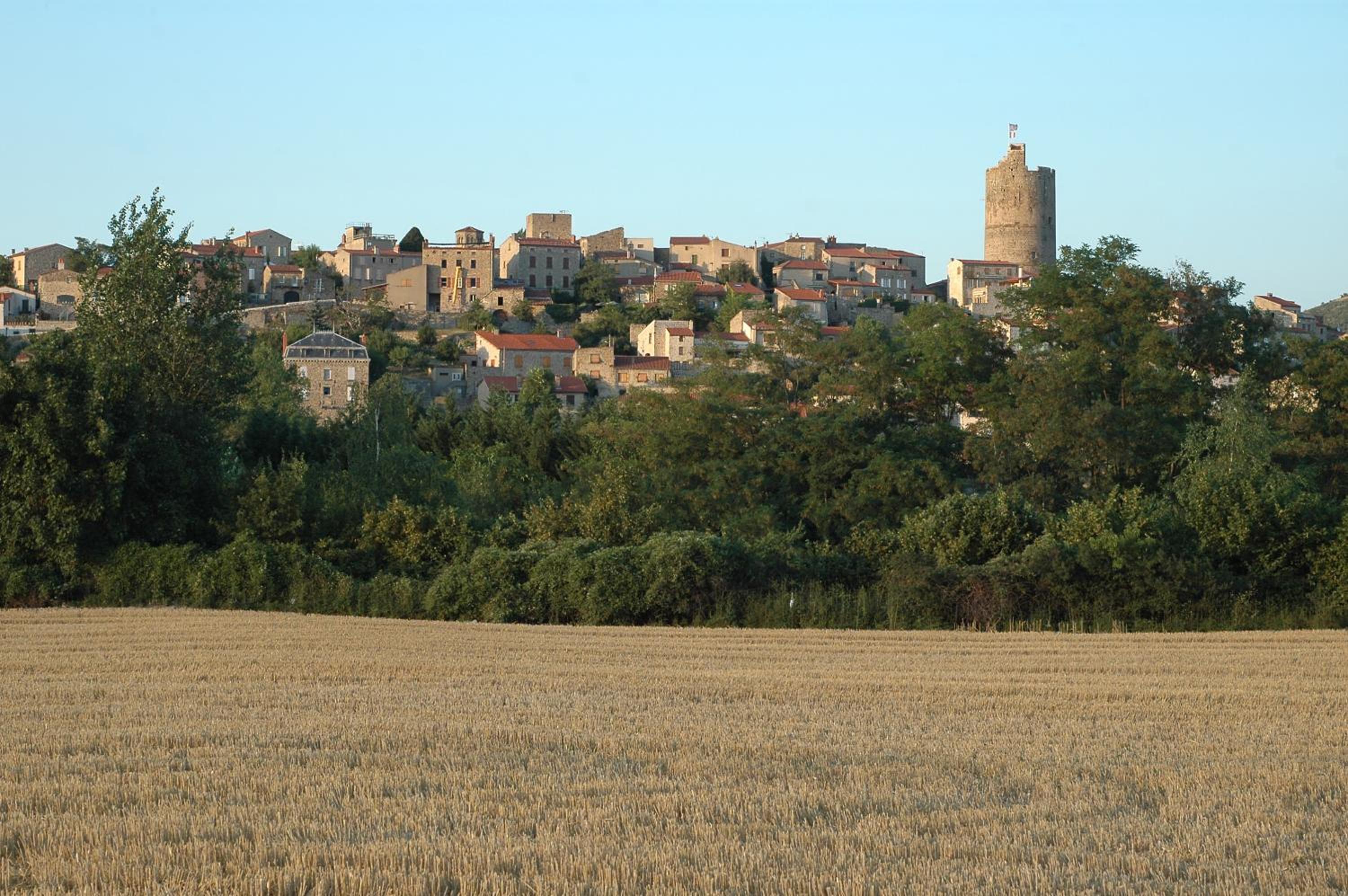 Photo 17