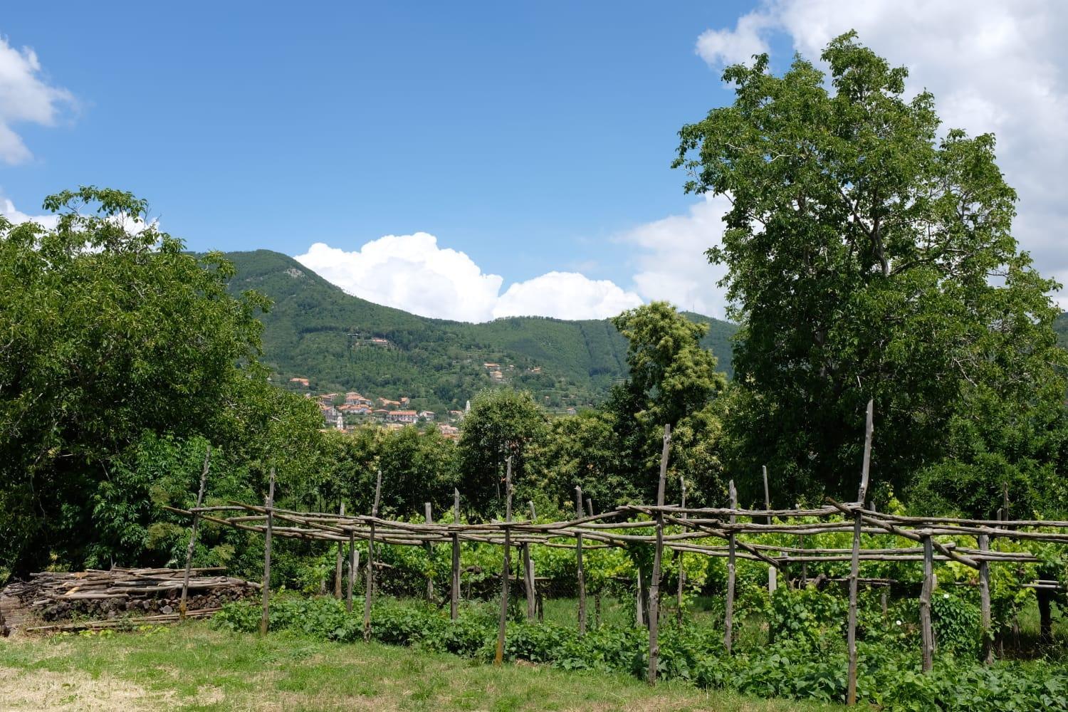 Villa Elisa