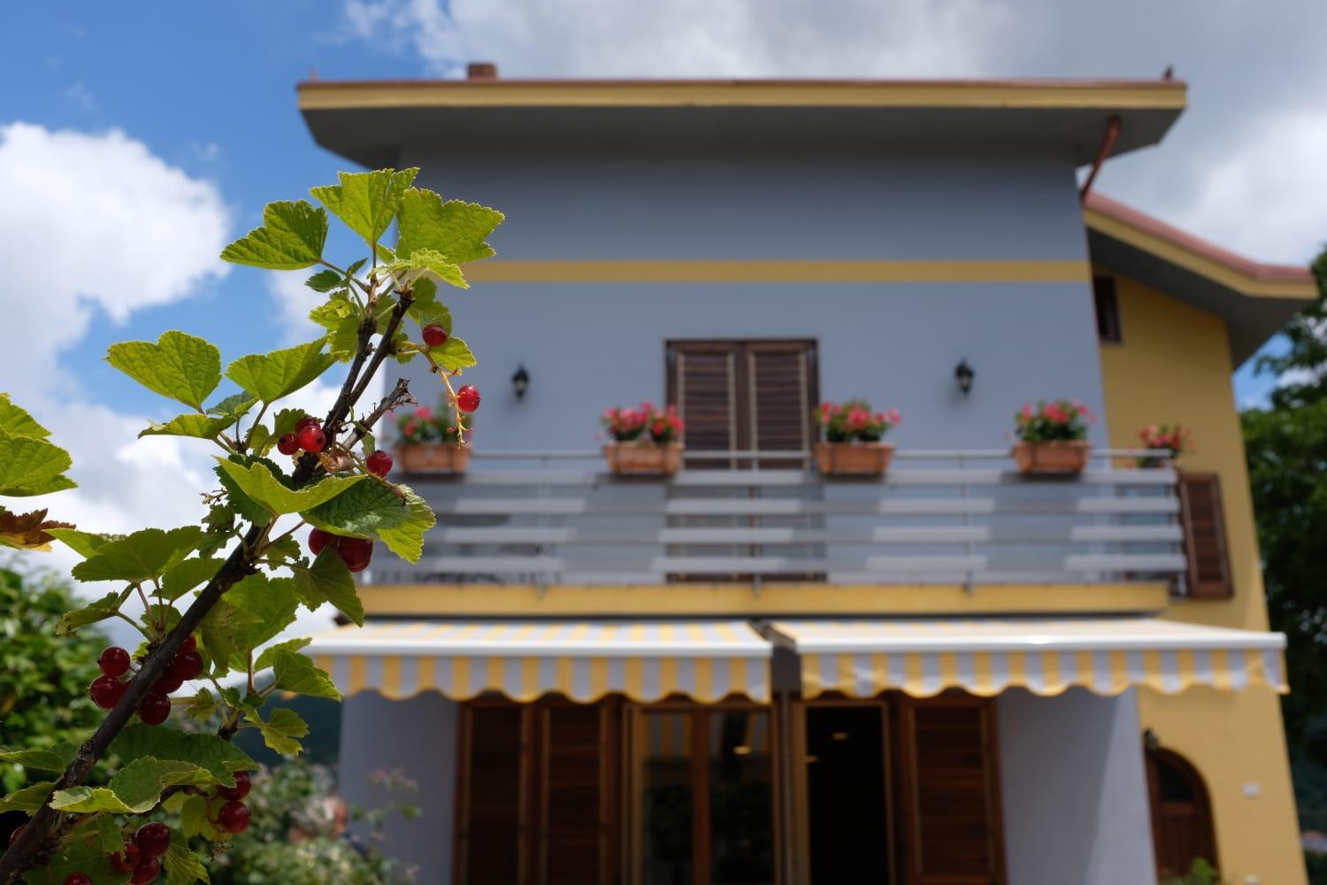 Villa Elisa