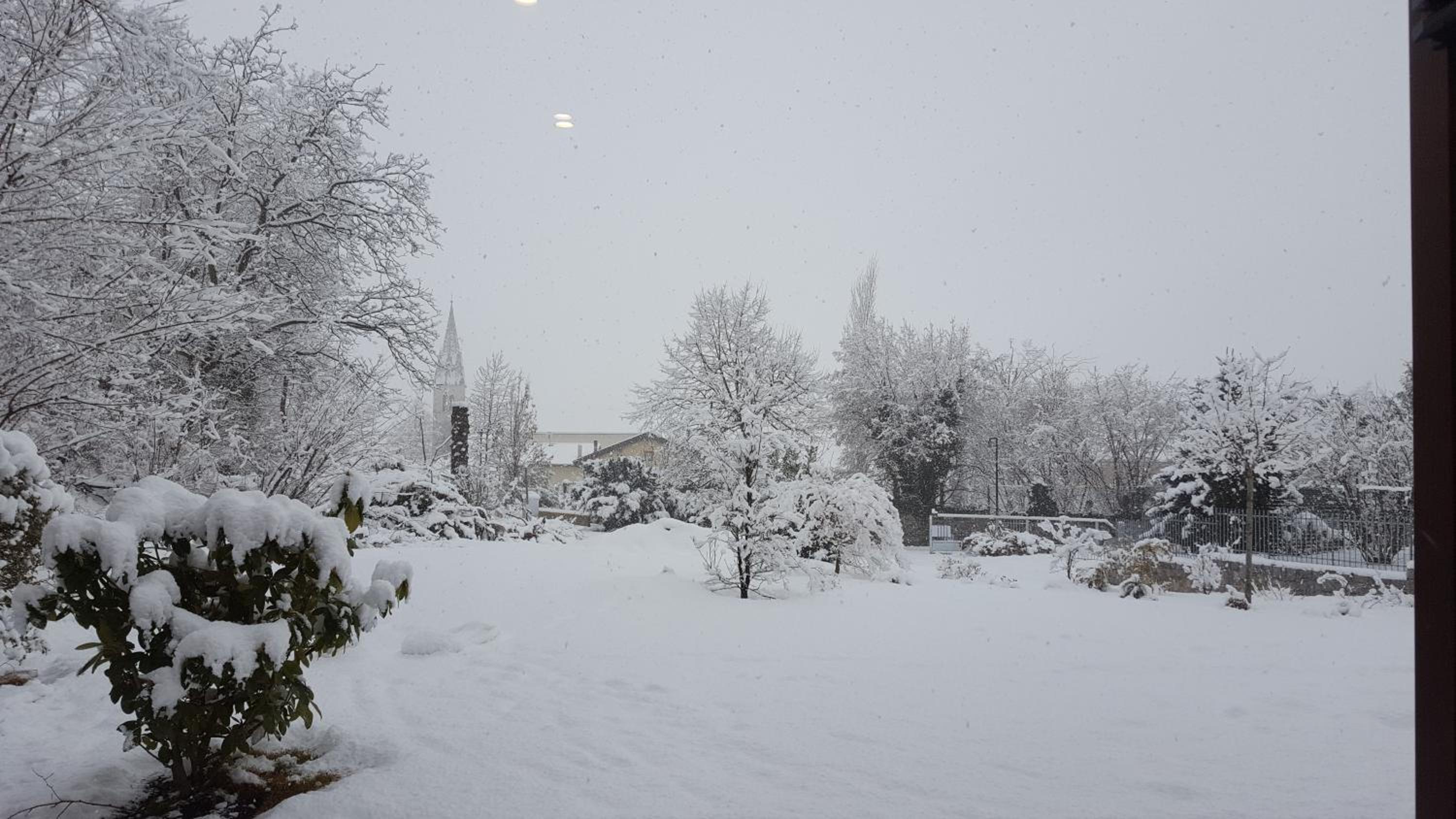 Photo 21