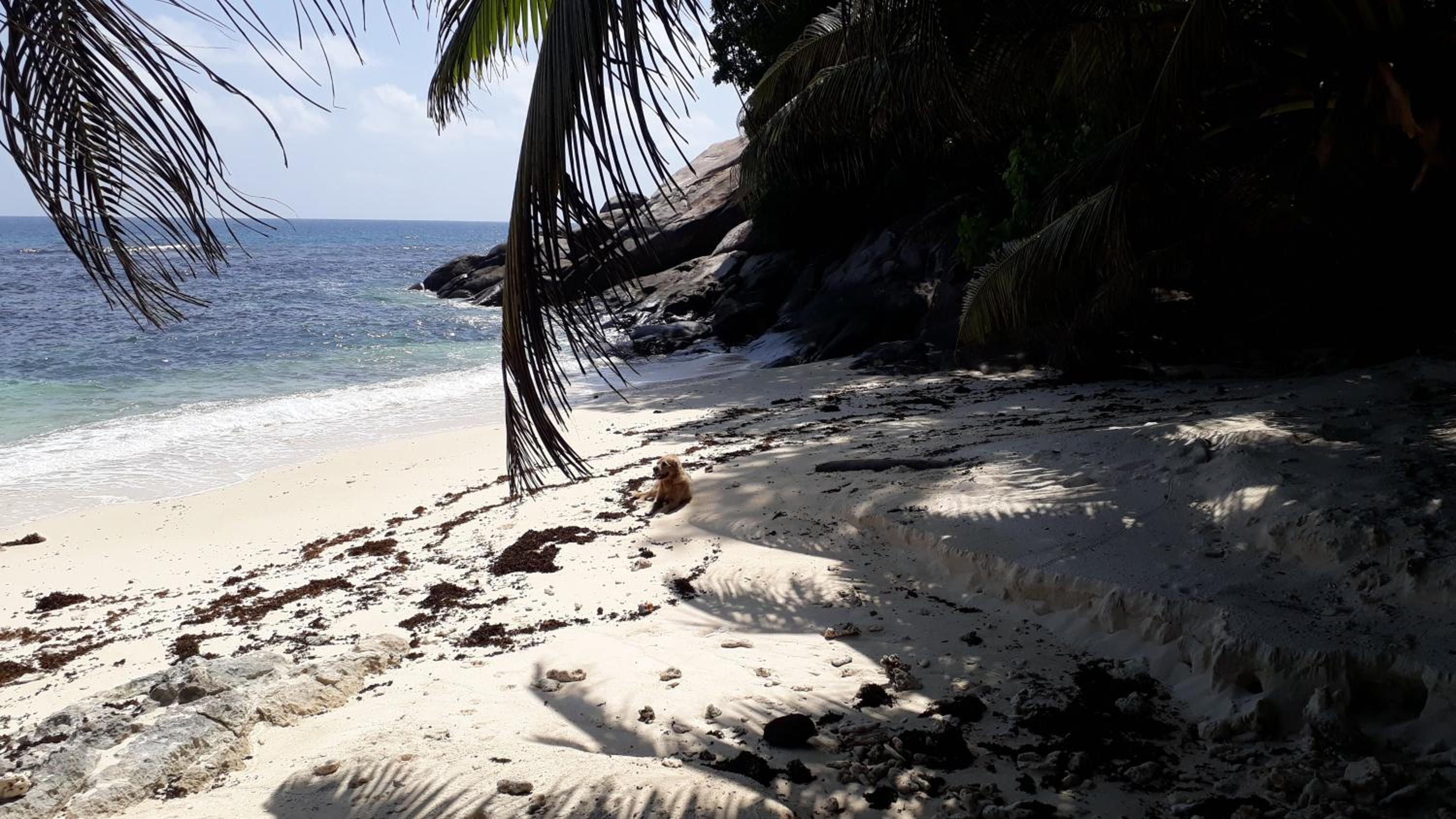 Eden Island luxury apartment sea view
