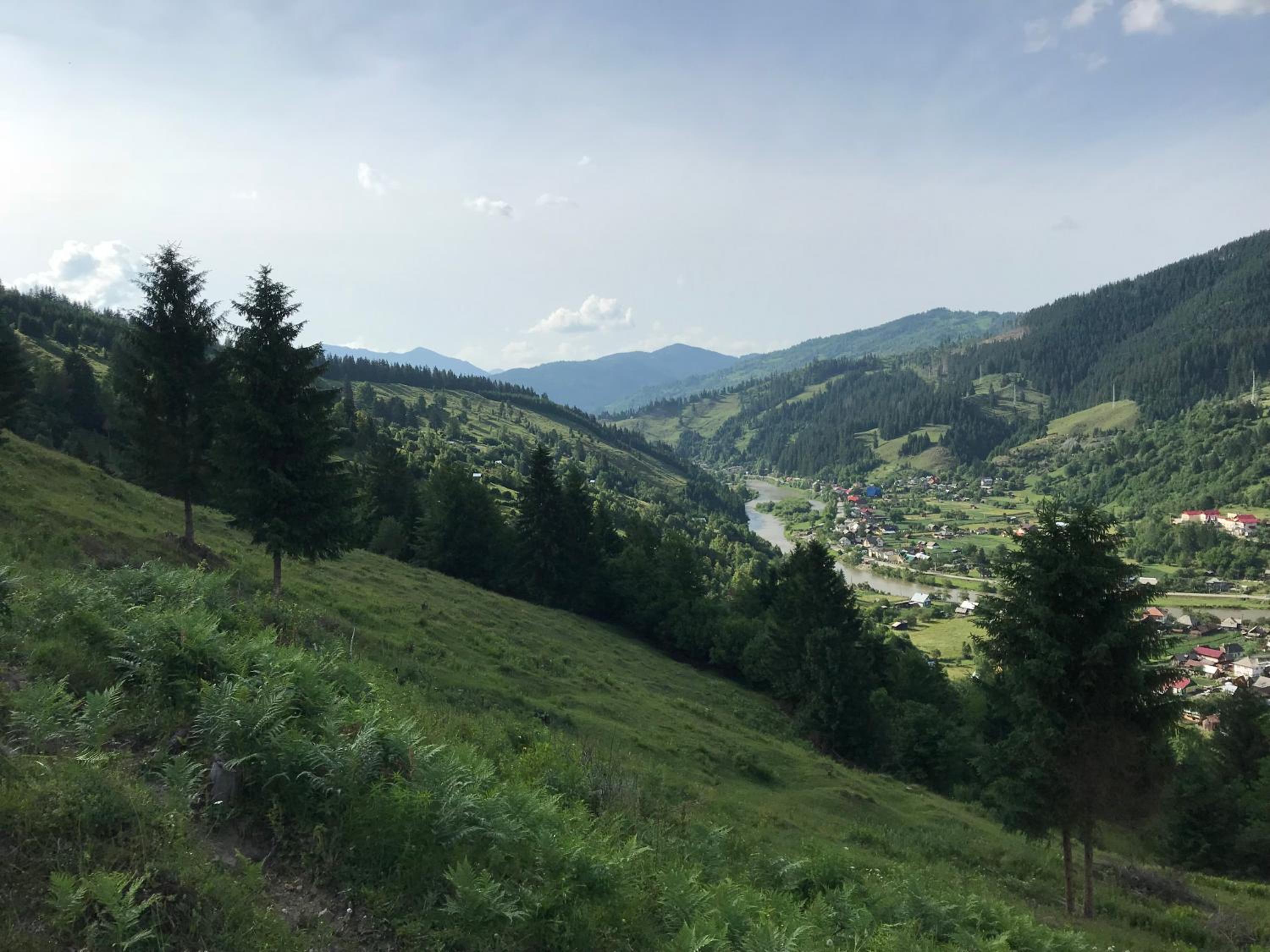 Pensiunea Serbeca view 5