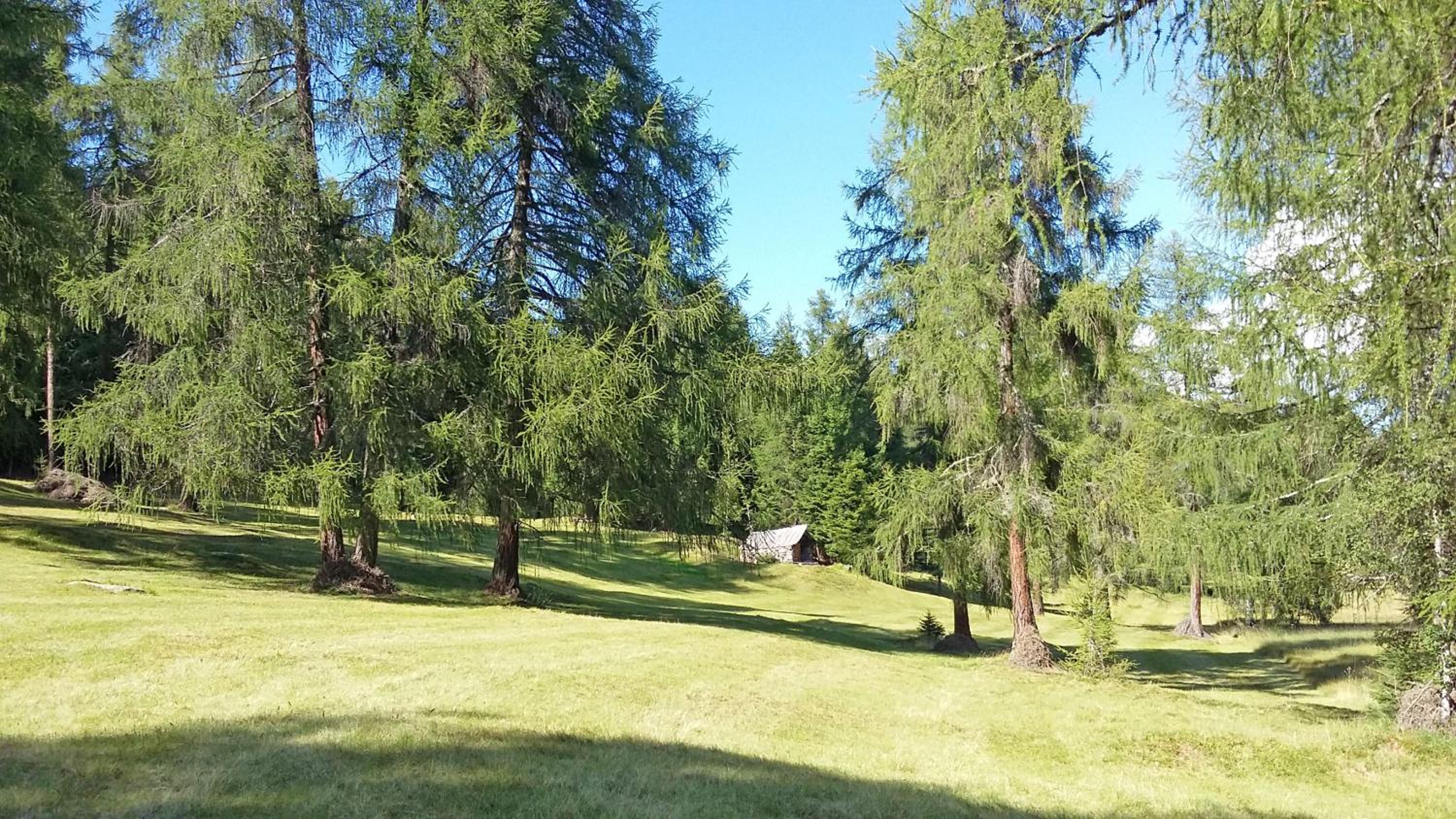 Runggnerhof