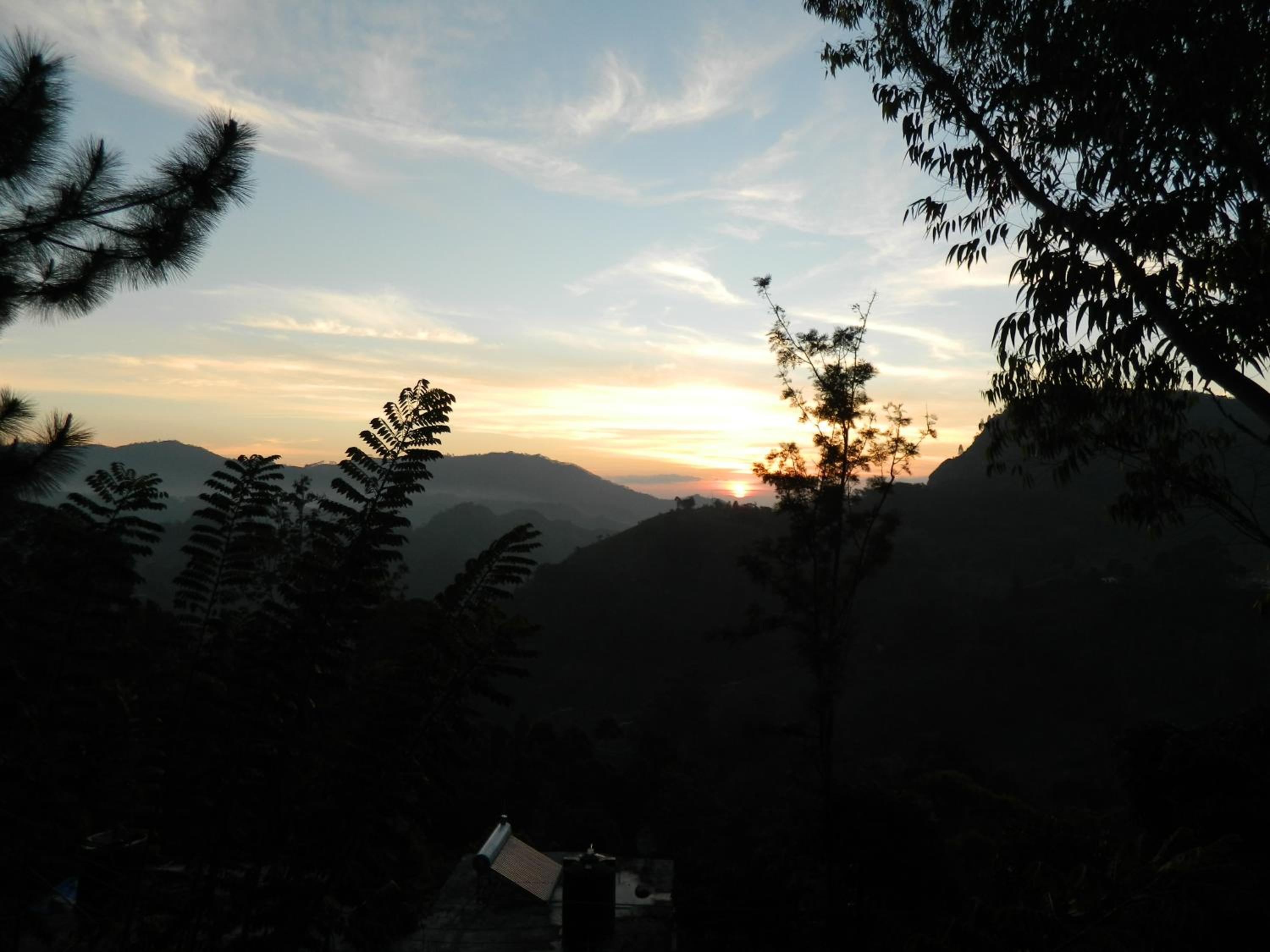 Photo 37