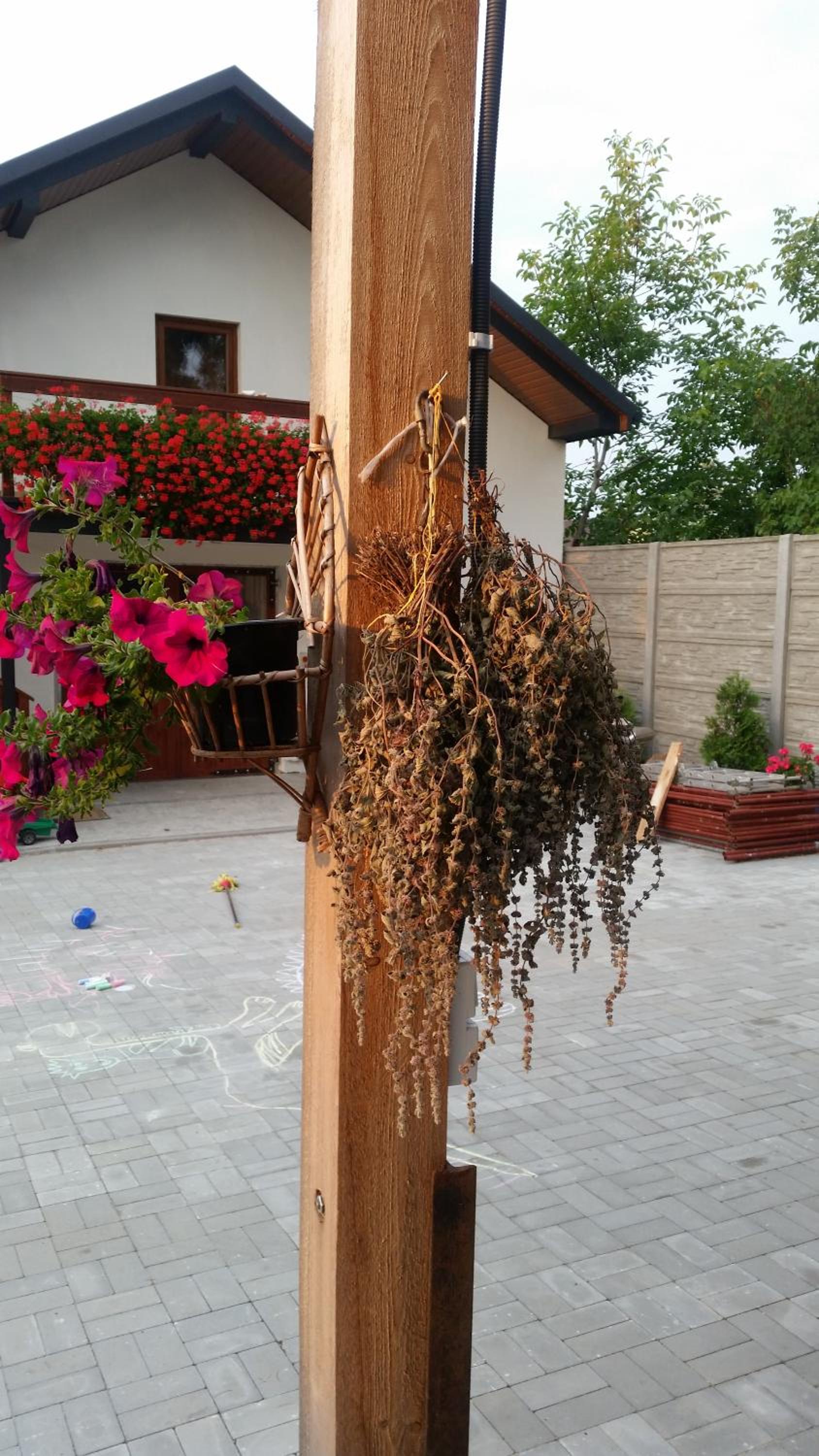 Photo 37