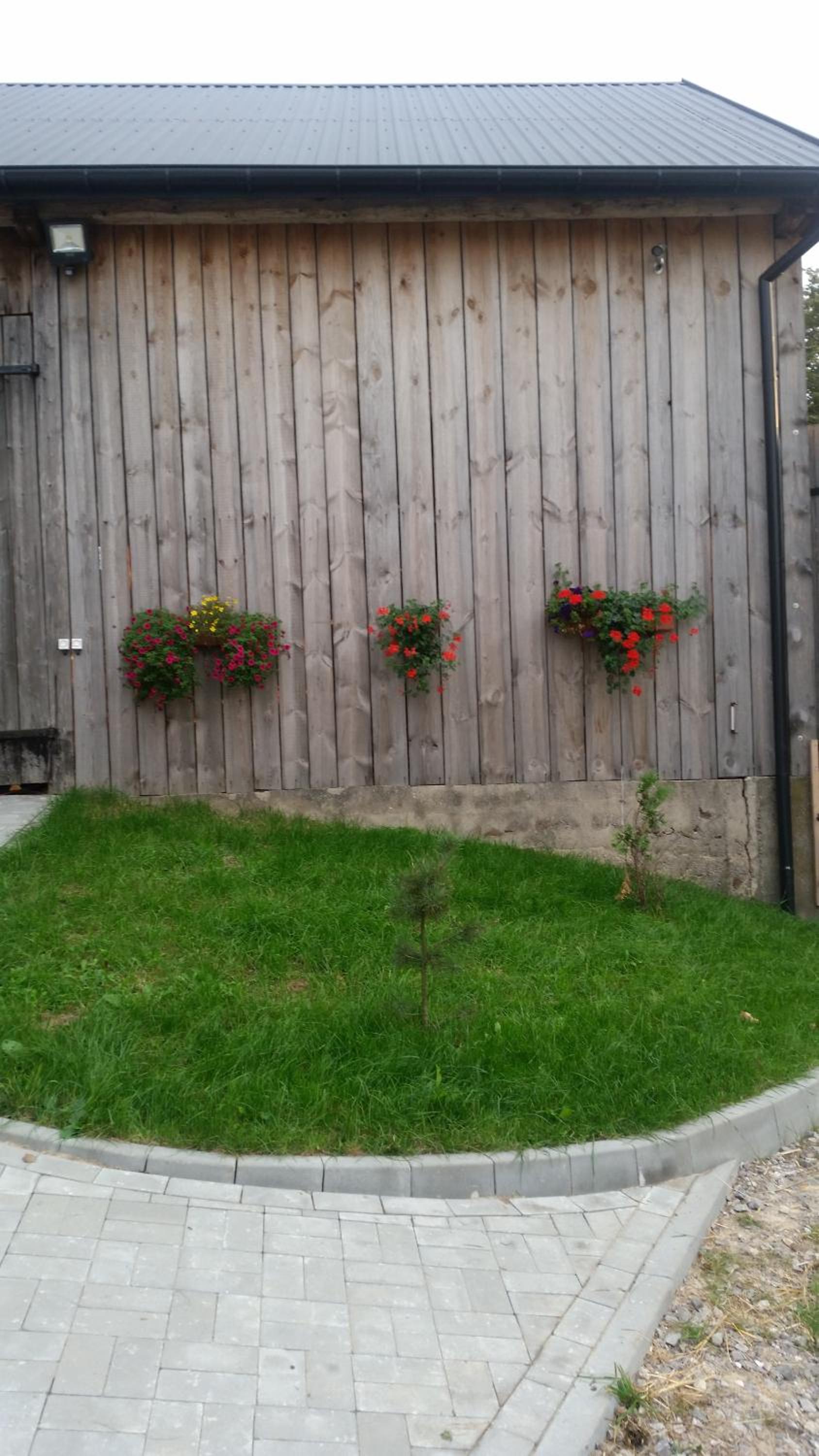 Photo 38