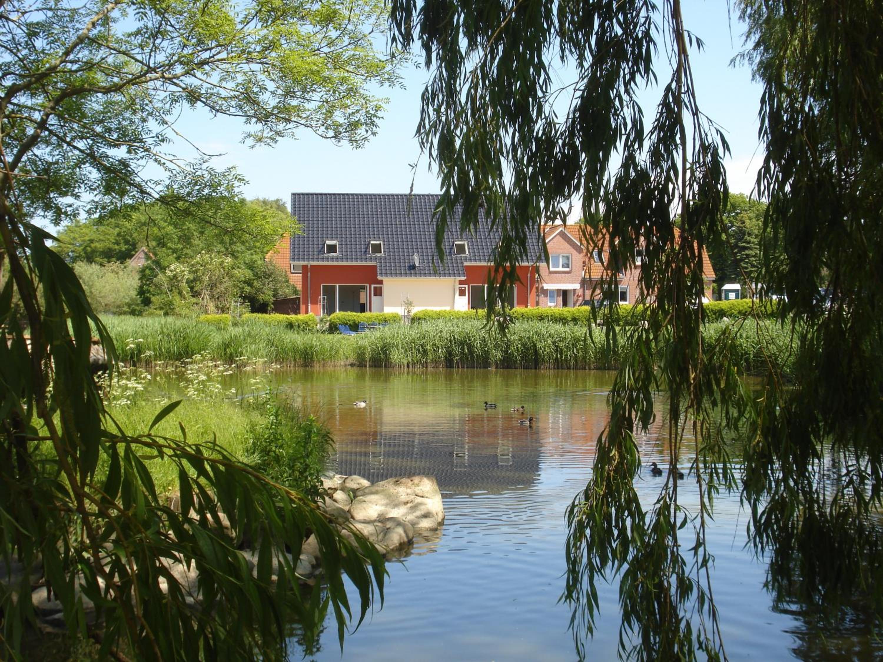 Ferienhaus Seeschwalbe