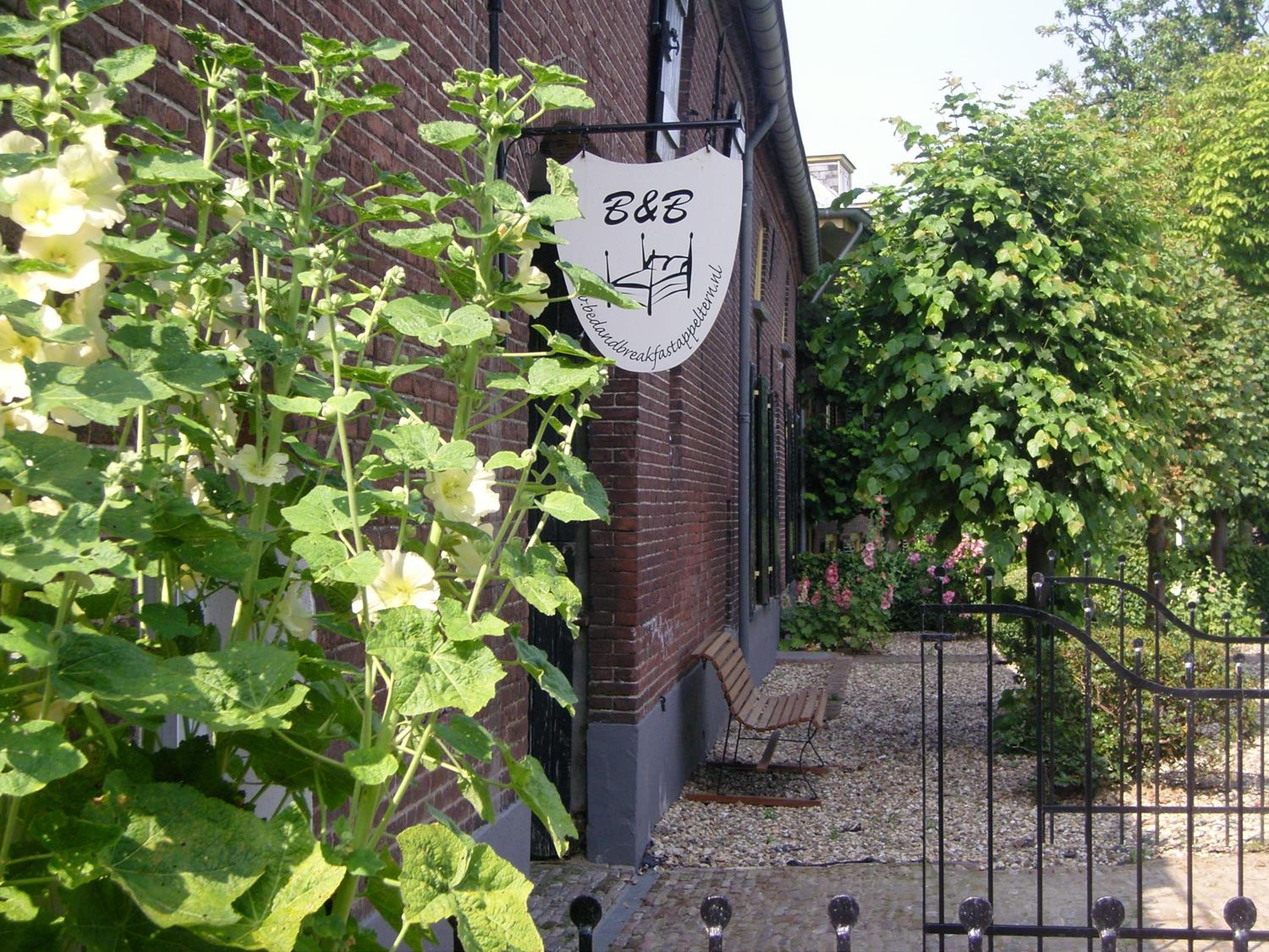 Photo 23