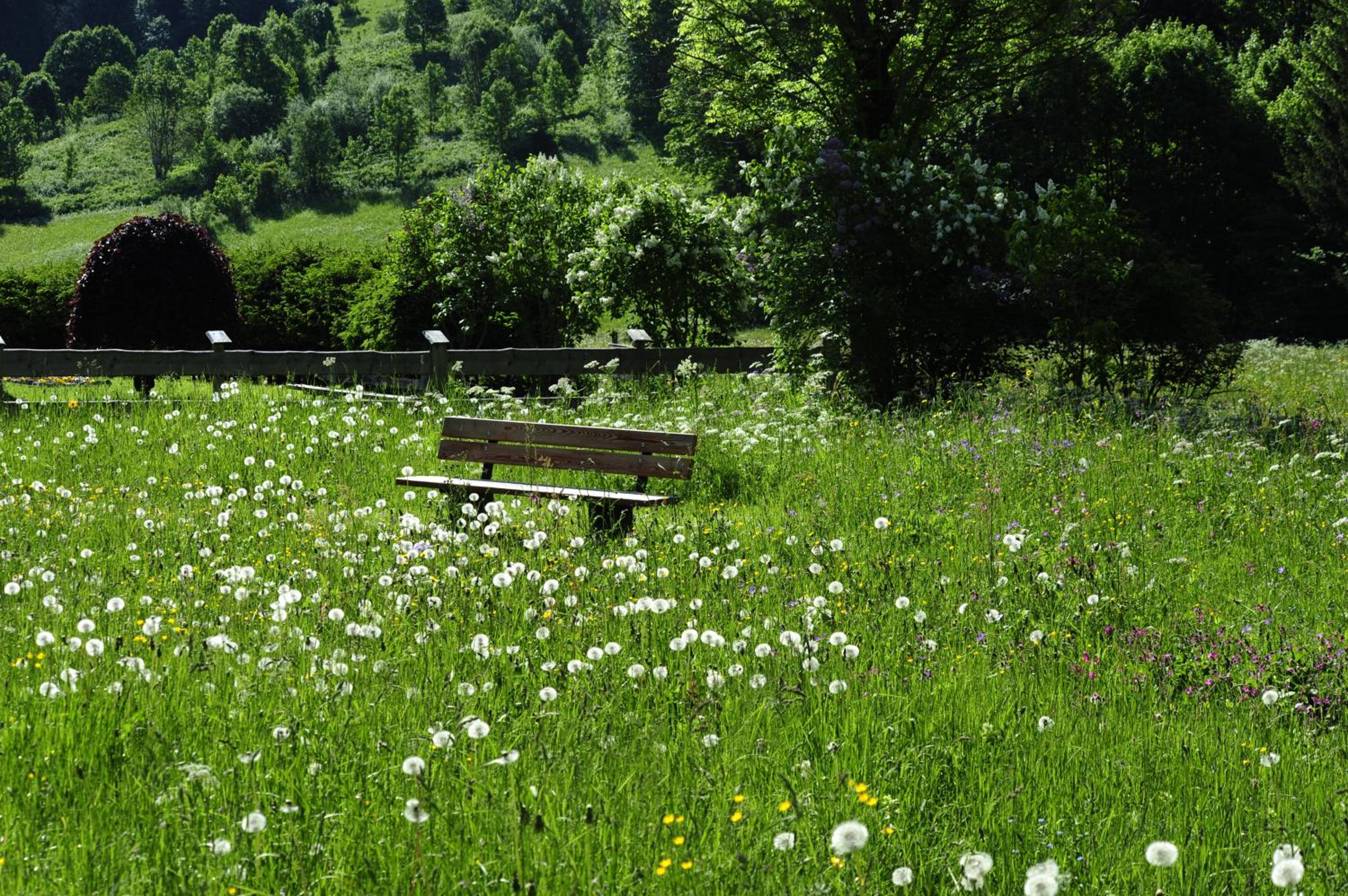 Appartements & Chalets Wiesenruh