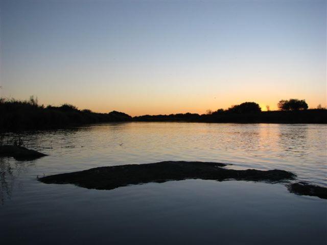 Photo 50