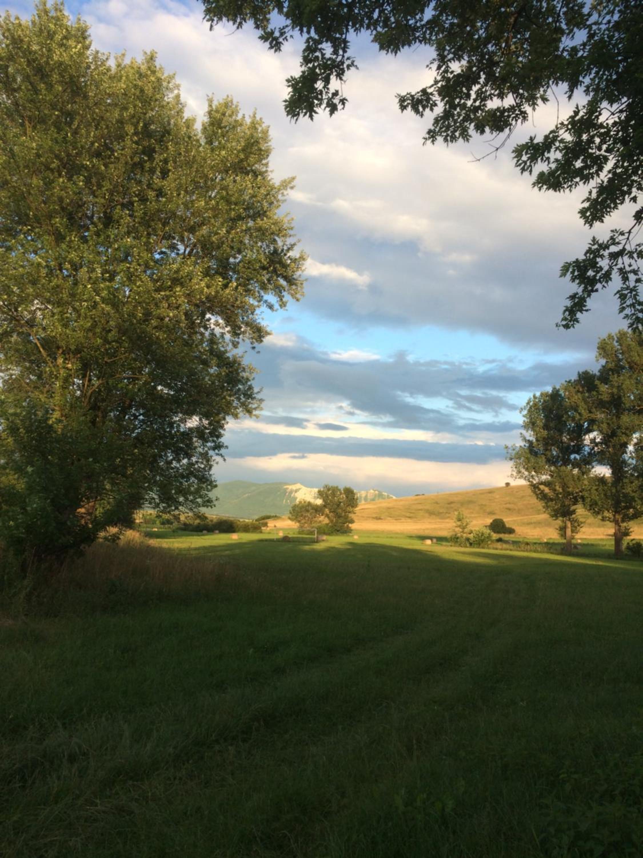 Photo 44